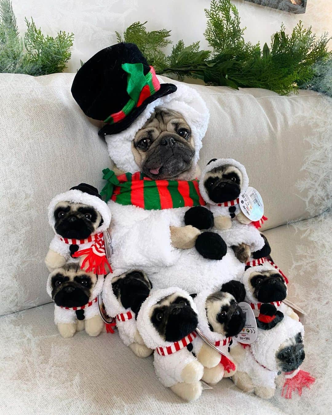 itsdougthepugさんのインスタグラム写真 - (itsdougthepugInstagram)「“So cute they’ll make u melt” -Doug • My new snowman plushies are now available on Amazon!! Get them in time for the Holiday ☃️ link in bio」12月18日 1時13分 - itsdougthepug