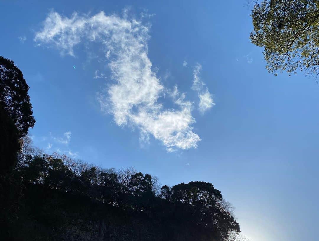 相馬絵美さんのインスタグラム写真 - (相馬絵美Instagram)「日本を代表する景勝地の一つ、高千穂峡。  滝好きには堪らない真名井の滝。  以下HPより👇 「日本の滝100選に選定された名瀑。天孫降臨の折り天村雲命という神様が、水種をこの地に移された天真名井から地下水となってこの滝に湧水しているといわれ、高千穂峡の碧水に白蛇を思わせる数条の飛瀑は、見応え十分。」  最後の雲は自分的に龍神様の顔に見えた🐲  #高千穂 #高千穂峡 #滝 #日本の滝100選  #真名井の滝 #龍神雲 #龍神様」12月17日 16時44分 - somaemi
