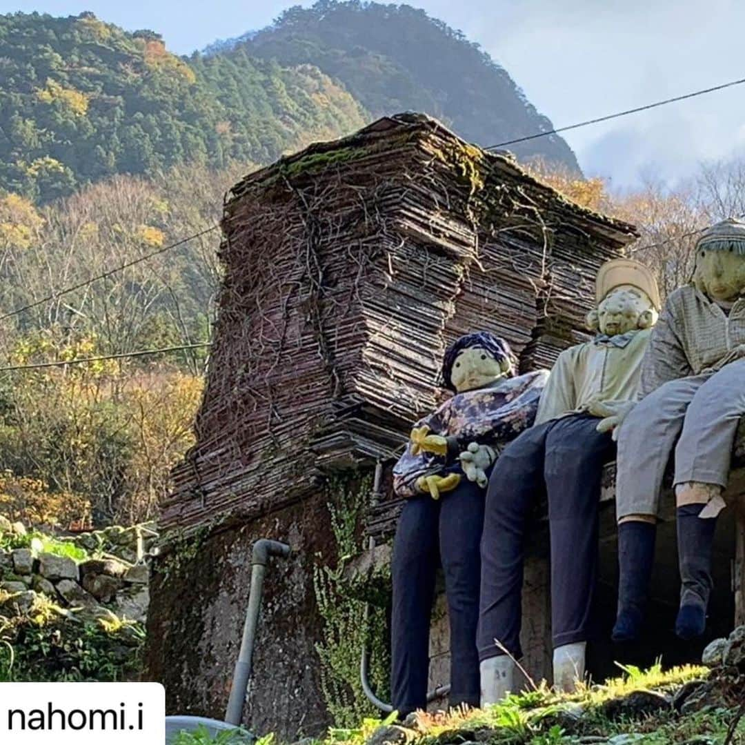 西条市さんのインスタグラム写真 - (西条市Instagram)「初めて見たときは、びっくり！！ 最近はこれを見ると、なんか落ち着く。  #いよ西条 #伊予西条 #愛媛 #四国 #瀬戸内 #ehime #sikoku  #田舎暮らし #大保木   #Repost @nahomi.i with @make_repost ・・・ ゆっくり、のんびりドライブ🚙💨💨  大保木の住民様にご挨拶🙇‍♀️  #lovesaijo  #大保木公民館 #ていさつ #🚲ではここまでは無理っぽい #かかしの里へ行ってみたいなぁ」12月17日 17時00分 - lovesaijo