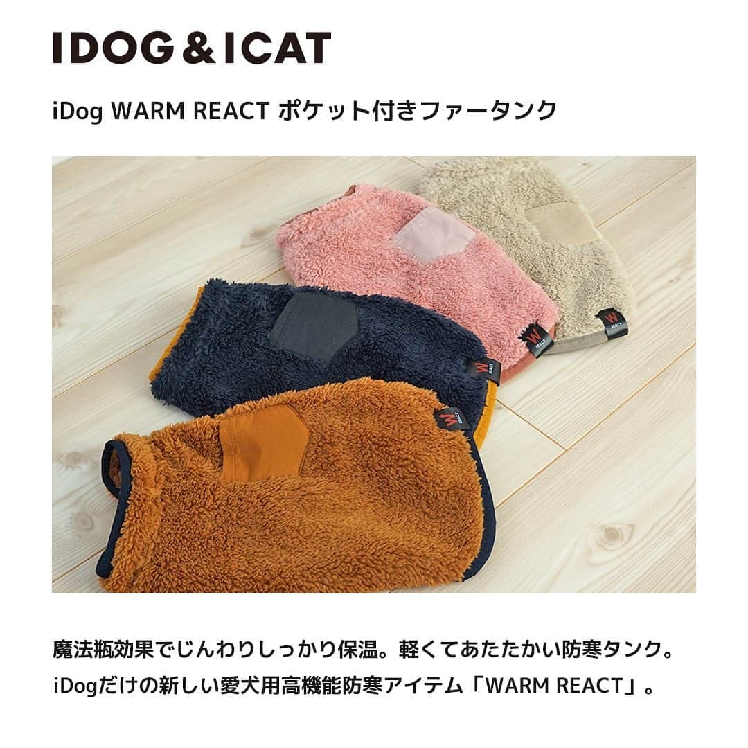 iDog&iCatのインスタグラム