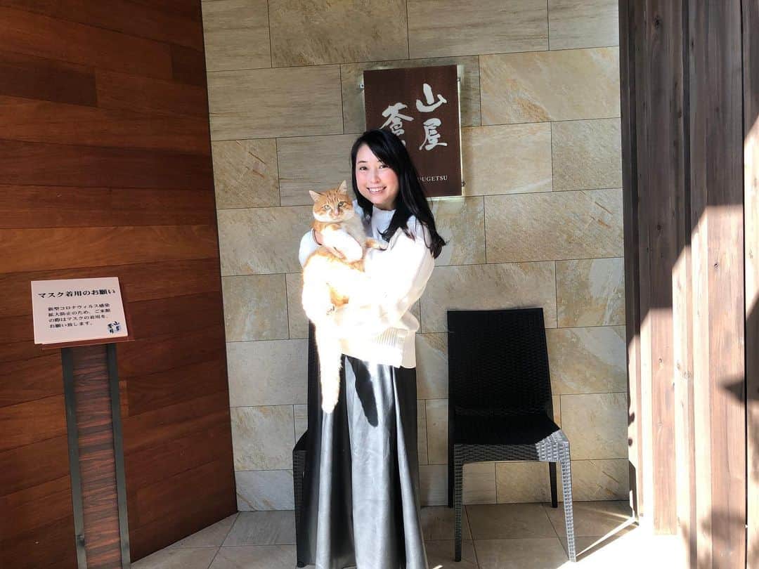 美甘子さんのインスタグラム写真 - (美甘子Instagram)「山屋蒼月に住み着いていた猫のテンちゃん🐈 人懐っこくて、デップリしてて可愛かった😍 #山屋蒼月」12月17日 17時37分 - rekish_mikako