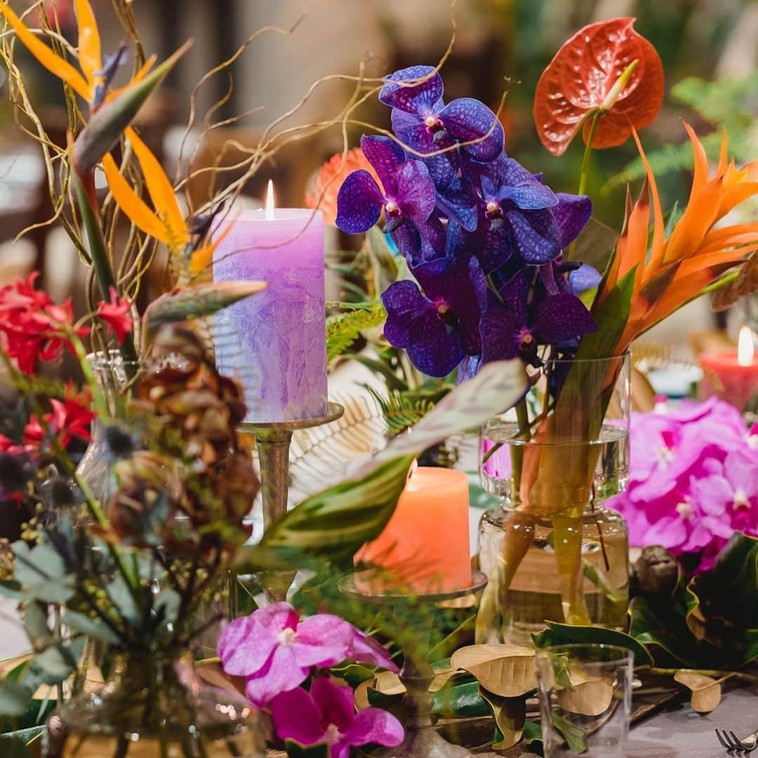ARCH DAYS Weddingsさんのインスタグラム写真 - (ARCH DAYS WeddingsInstagram)「【今日のアルバム】BOTANICAL PEACE﻿ ﻿ 変わったお花が好きなおふたり。﻿ ﻿ ゲストには驚きとともに、お花の鮮やかさや綺麗さに癒されてほしいというおもてなしの想いをこめて、披露宴会場は色とりどりの珍しい植物に囲まれたボタニカルな空間に。﻿ ﻿ エスコートカードやプチギフトにもボタニカルモチーフを散りばめて、全体的な統一感を。﻿ ﻿ ﻿ _ _ _ _ _ _ _ _ _ _ _ _ _ _ _ _ _ _﻿ ﻿ ﻿ Bride: @ykr__wd119﻿ Planner: @okayama.tsg﻿ Photo by tg_ph.miura﻿ ﻿ ﻿ _ _ _ _ _ _ _ _ _ _ _ _ _ _ _ _ _ _﻿ ﻿ ﻿ ▽記事に飛ぶには﻿ ストーリーズからリンクをチェック﻿ ﻿ ﻿ -----﻿ ﻿ ﻿ DIYコラムのモデルになってくれる花嫁さんを大募集🤍﻿ ﻿ @archdays_weddings をフォロー＋ #archdays花嫁 をつけて投稿するだけで応募完了！﻿ ﻿ ARCH DAYSのプロフィールブックやウェルカムボードなど、DIYコラムのモデルさんとして、編集部からお声がけをさせていただきます💄﻿ ﻿ 沢山のご応募お待ちしています♩﻿ ﻿ ﻿ -----﻿ ﻿ ﻿ ▽ARCH DAYSトップページはこちらから☑️﻿ @archdays_weddings﻿ プロフィールのリンクから﻿ ﻿ ▽KIDS & BABYのパーティーアイディアはこちら☑️﻿ @archdays﻿ ﻿ ﻿ -----﻿ ﻿ ﻿ ARCH DAYSに会員機能ができました💁‍♀️﻿ ﻿ 気になる記事や写真をクリップして、もっと便利に！自分だけのページを作れます📎﻿ ﻿ また、会員登録をしてマイページからパートナーを招待すれば、2人でイメージを共有可能に♩﻿ ﻿ ﻿ -----﻿ #archdays #archdays_wedding #アーチデイズ #アーチデイズウェディング #TRUNKBYSHOTOGALLERY #weddingtbt #TRUNK花嫁 #TRUNKwedding #トランク花嫁 #トランクバイショートギャラリー #トランクウェディング #花嫁ヘア #花嫁ヘアスタイル #花嫁ヘアアレンジ #ウェディングヘア #紐アレンジ #高砂 #高砂装花 #高砂装飾 #高砂ソファ #ウェディングケーキ #ウェディングドレス #カラードレス #カラードレスブルー #ウェディングブーケ #装花 #装花コーディネート #プレ花嫁 #卒花嫁﻿ -----」12月17日 17時49分 - archdays_weddings