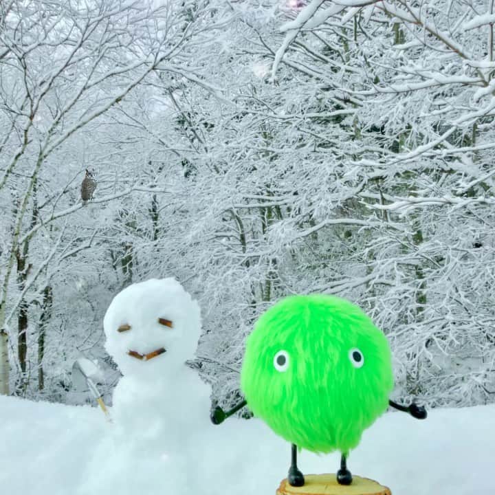SUUMO公式アカウントのインスタグラム