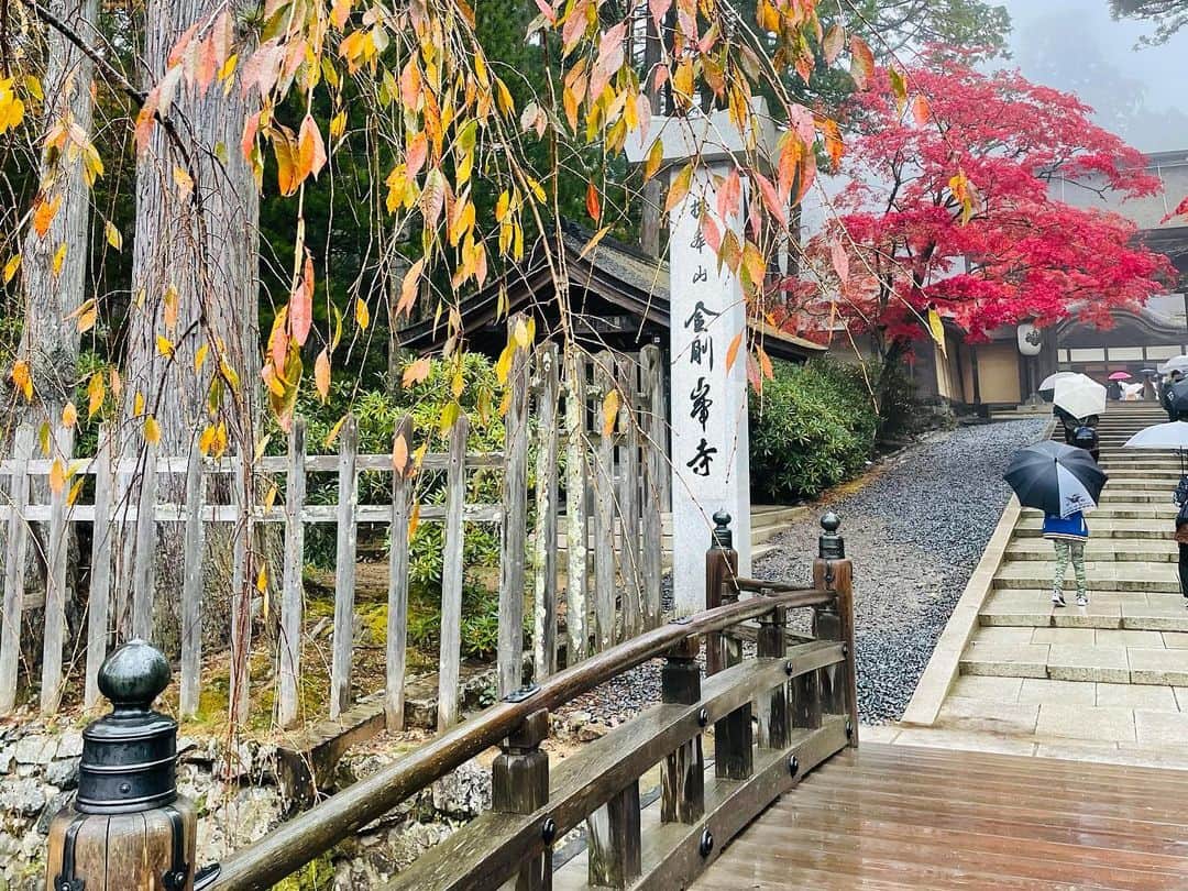倉窪莉沙のインスタグラム：「* 最初に伺った場所から数珠つなぎで地元の人ならではのオススメの場所やお店を紹介してもらい、巡っていくコーナー「DEEPな和歌山探検隊」。今回（11月OA）は高野山をぶら～りしてきました👟♡あいにくの雨で、とても寒かったですが、紅葉が見頃で美しく、あたたかい出会いがたくさんありました🥰❤️  甘くてほっくほくの焼栗をいただいた「圧力式焼栗　くり香」さん。てっちゃんはビーフカレー、私は高野豆腐と梅干しが入ったうどんをいただいた「西利」さん。（心に優しい高野山精進カレー、売り切れちゃっていたんです🥲）高野槙を使ったこうやまきアロマオイルや可愛い和雑貨が沢山並んでいる「宮崎正商店」さん。旬の食材を使った料理、お寿司、創作料理など豊富なメニューを取りそろえる料理店「旬菜かめや」さん。  アポなしの訪問にも関わらず、みなさん気さくにお話を聞かせてくださり、感謝感謝の旅でした🙏🏻✨取材中、「毎日読んでるんです〜」と「マエオカテツヤの和歌山妖怪大図鑑」を持って現れた小学生の女の子がてっちゃんにサインをしてもらってぴょんぴょん跳ねて喜ぶ姿がものすごく可愛かった😍💖💖帰り際にはごまとうふもgetできて大満足！高野山で出会ったみなさん、ありがとうございました。 . . . #マエオカテツヤの全開木曜日 #DEEPな和歌山探検隊 #マエオカテツヤ さん #てっちゃん #wbs #和歌山放送 #和歌山 #高野山 #弘法大師 #金剛峯寺 #紅葉 #くり香 #焼栗 #西利 #精進カレー #宮崎正商店 #高野槙 #こうやまきアロマオイル #旬菜かめや #ラジオ #アナウンサー #ママ時々アナウンサー #ママウンサー」