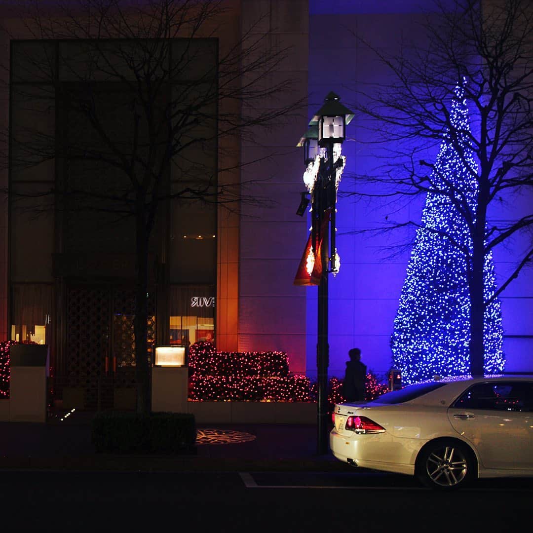 SHISEIDO THE GINZAさんのインスタグラム写真 - (SHISEIDO THE GINZAInstagram)「【銀座の街を彩る、並木通りの資生堂銀座ビル「資生堂 冬のイルミネーション」】  この季節の銀座の街を彩るイルミネーションが、今年も点灯されています。  並木通りの資生堂銀座ビルの今年のイルミネーションのテーマは、「感謝」。 全長約45メートルの街路の植栽に沿って輝くLED電球を宝石のルビーに見立てて、資生堂のコーポレートカラーである「赤」を表現。 また、高さ約8.5メートルの2本の樹木には、新型コロナウイルス感染症への対応が長期化する中で治療や予防の最前線で尽力されている医療従事者の皆さまに向けて心からの感謝と敬意を込めたブルーイルミネーションを灯しています。  イルミネーションの点灯は、12月26日（土）まで。  #資生堂 #shiseido #shiseidothestore #並木通り #資生堂銀座ビル #銀座 #ginzatokyo #イルミネーション #イルミネーション2020 #illumination」12月17日 18時10分 - shiseidothestore