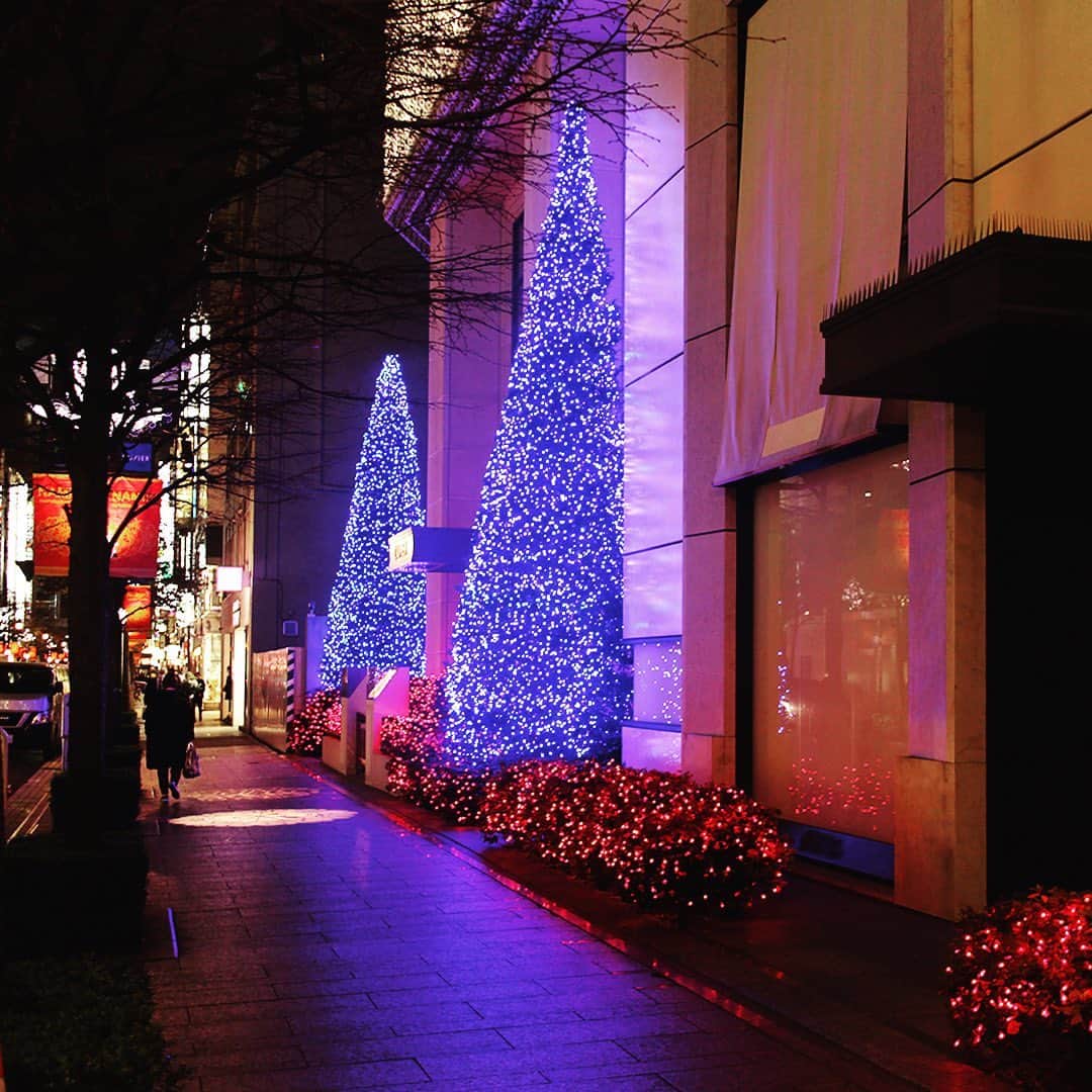 SHISEIDO THE GINZAのインスタグラム