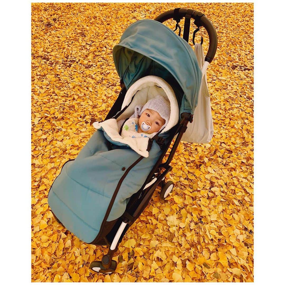 愛可さんのインスタグラム写真 - (愛可Instagram)「・ ご近所の公園が黄金色に染まっていました🍂 息子くんはまもなく生後半年を迎えます。 初めての冬だね☃️  ・ ・ #銀杏の絨毯　#3ason」12月17日 18時14分 - aikick