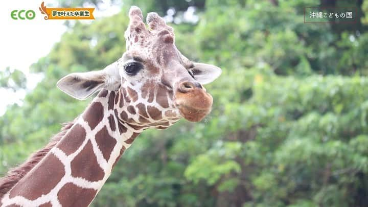 【公式】福岡ECO動物海洋専門学校のインスタグラム