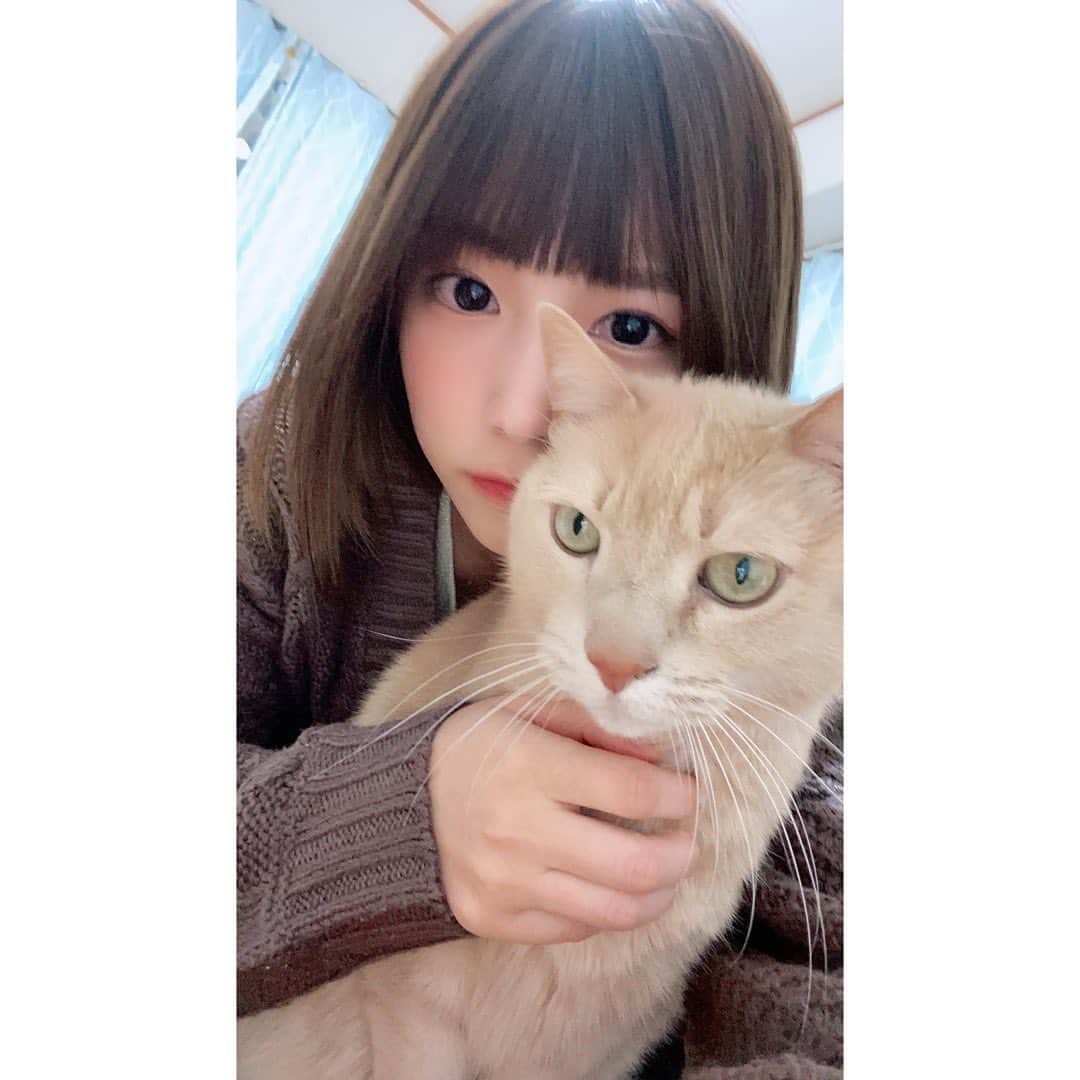 村上りいなさんのインスタグラム写真 - (村上りいなInstagram)「家族😚🐱  #cat #love #family #かわいい　#猫のいる暮らし #猫　#instagood」12月17日 18時21分 - riina_murakami