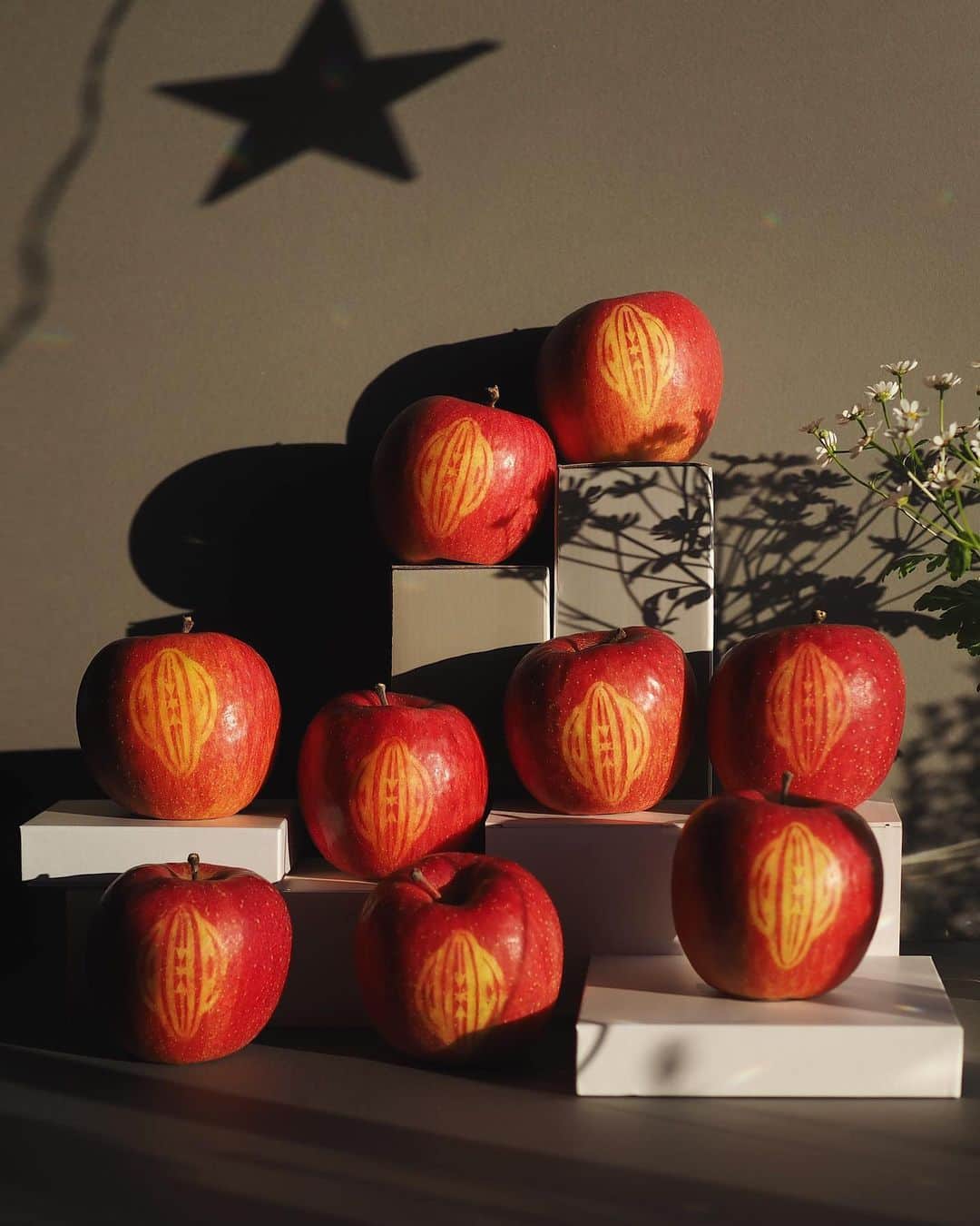 si ouxのインスタグラム：「🍎﻿ upABORN Tanning Logo Apple﻿ ロゴ入りりんご、できあがりました！！！！﻿ ﻿ 予想を上回る良き仕上がり…！線も綺麗にでてる。﻿ 青森県三戸町の丸末果樹農園さんご協力のもと制作しました。品種はサンふじです🍎﻿ 来年は販売できたらいいな〜！﻿ ﻿ ﻿ The @upABORN Tanning Logo Apple are now ready！！！！﻿ Very nice work! The lines are beautiful.﻿ It was made with the cooperation of Marusue Orchard in Sannohe Town, Aomori Prefecture. The variety is Sun Fuji 🍎﻿ I hope to sell them next year.﻿ ﻿ ﻿ #upaborn」