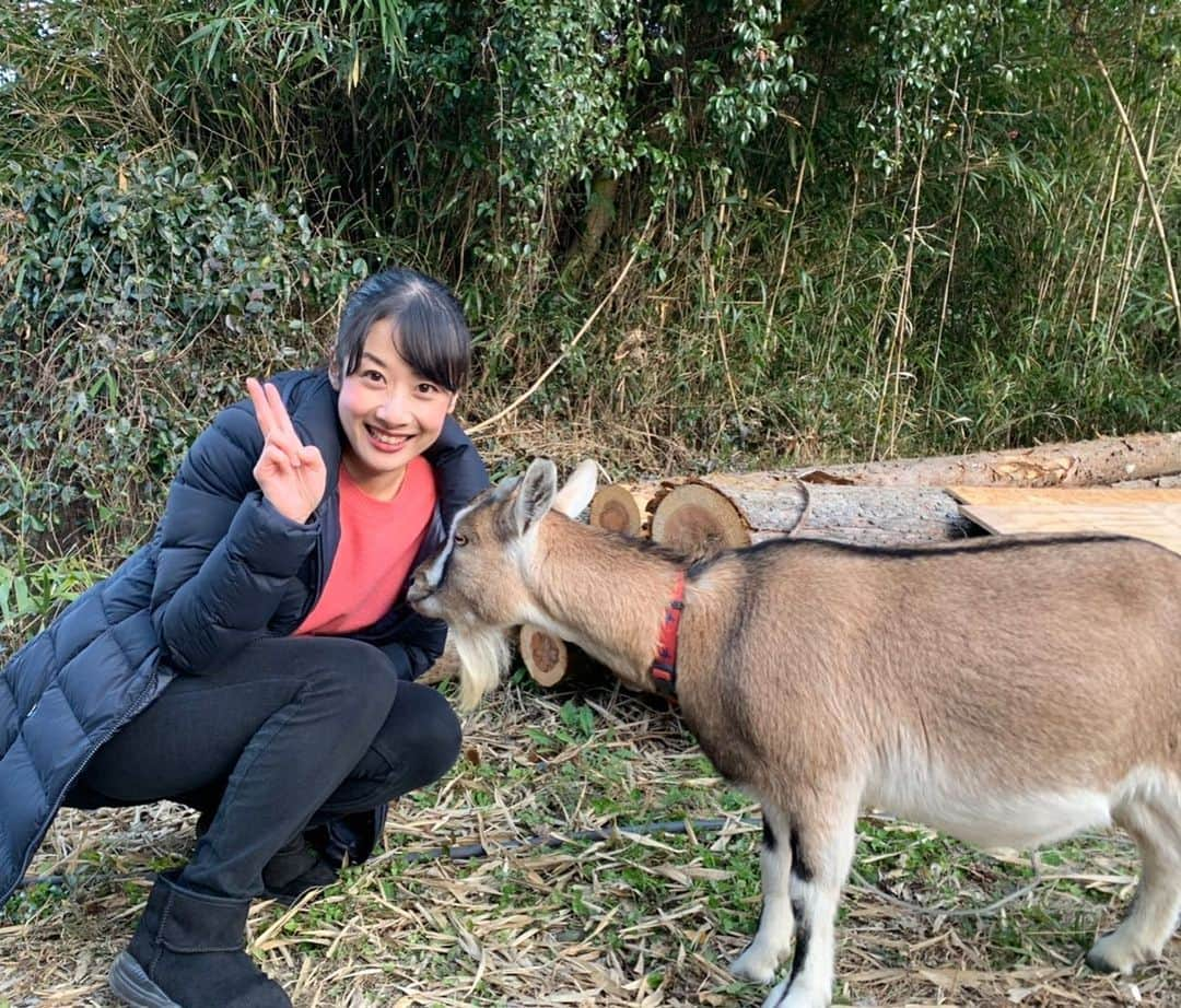 川島恵のインスタグラム