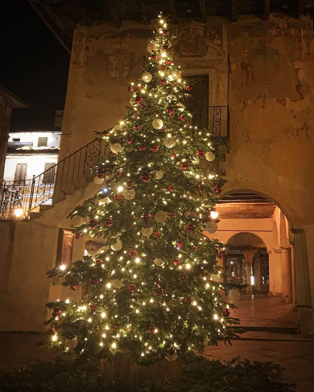 上本昌代のインスタグラム：「やっぱり暖色系のツリーが落ち着くなぁ🎄 いくつになってもクリスマスが近づくワクワク感は変わらない🎅🎵 #italia #イタリア #🇮🇹 #piemonte #ortasangiulio #christmastree #クリスマスツリー #christmas #クリスマス #christmasiscoming #🎄 #🎅 #サンタさんカモン #tbt」