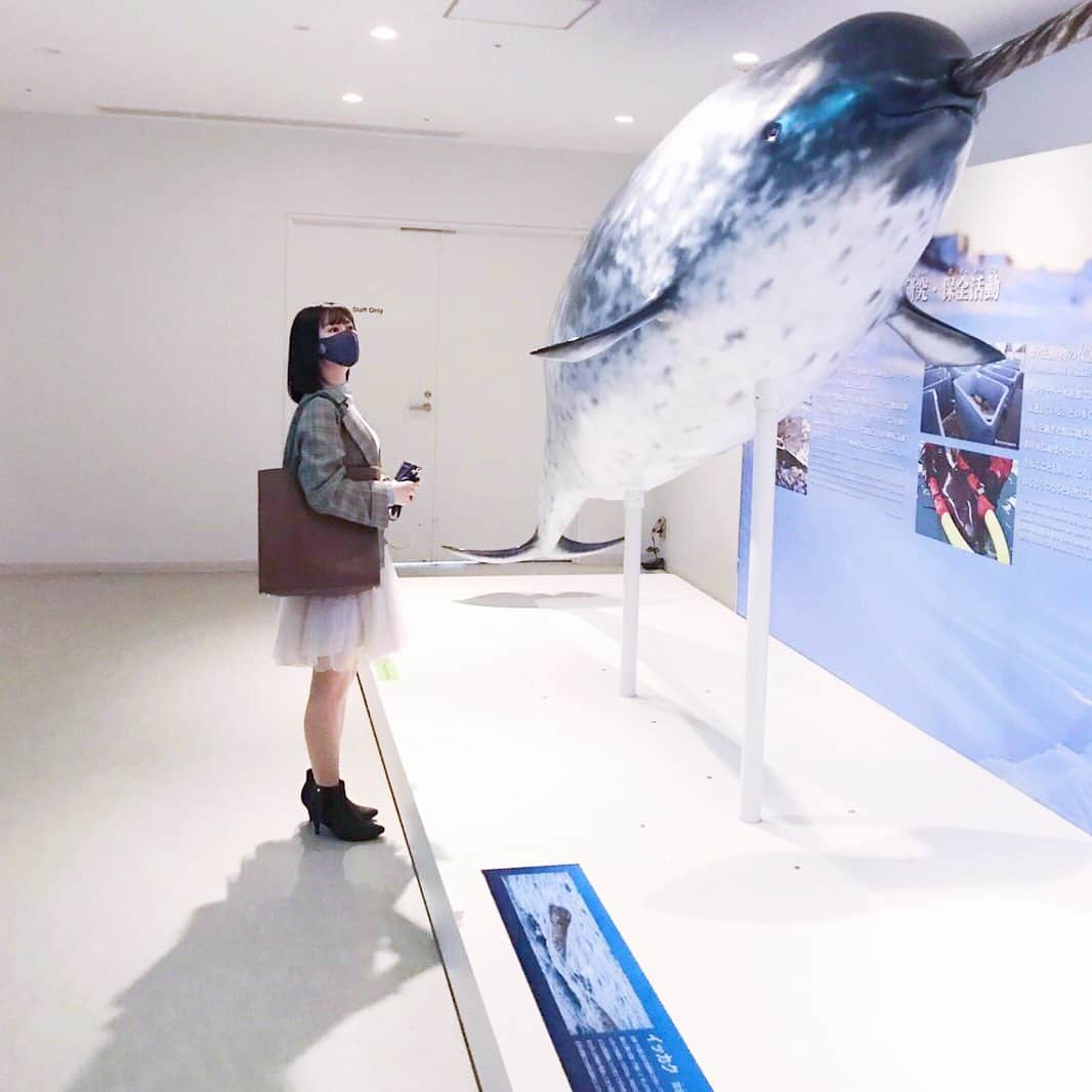 宮澤じゅりのインスタグラム：「🐋🦢🦈 . イッカクの長く伸びる角。 ユニコーンみたいで空想上の生き物みたい。 . 美しいし、いつか実際に会ってみたいなぁ☺︎ . 大きな生き物って実際に近くで見たときの迫力が凄いし、雄大で神秘的だね✨ . . そしてアシカの サービスセクシーショット📸 ・ ・ 鳥さんの名前わすれてしまったけど 可愛い子だった🕊 . . 次はジンベイザメとのツーショットを 撮りたい。 (今回、撮れなかった😂) . . @kaiyukan_japan  .」