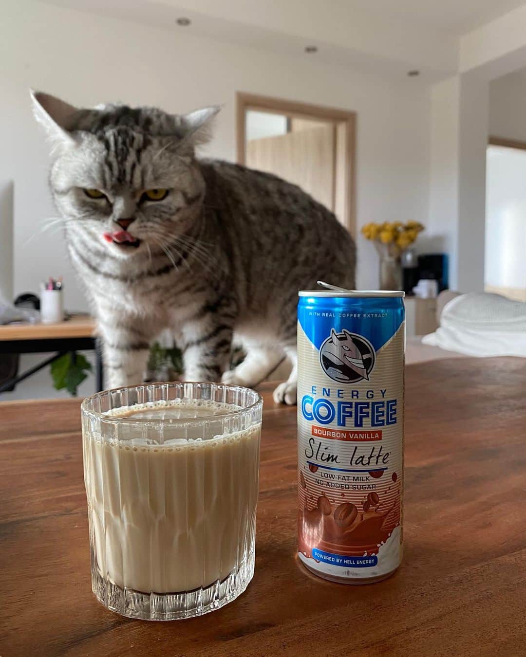 ズザンナ・ヤカボスのインスタグラム：「😹 hát kövezzetek meg, de ezt meg kell mutatnom.. 🤦🏻‍♀️ Credit: @floraszabados (ill. Mao) Ui: storyba teszek majd ki játékot, figyeljetek . . . . . #catsofinstagram #catlife #catstagram #catoftheday #coffecat #coffeeaddict #instacoffee #coffeeofinstagram #hellenergy #reklám #promóció #energycoffee #slimlatte #slimcat #catmemes #cats_of_world」