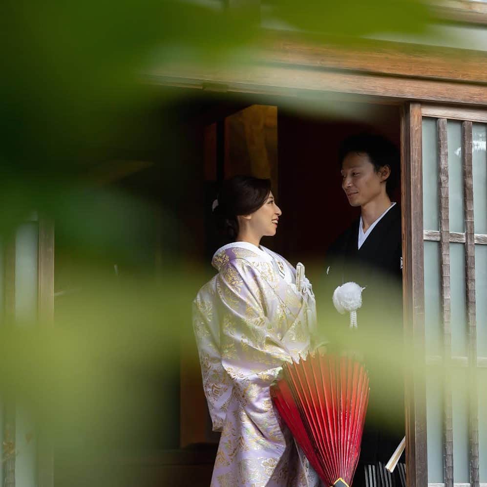 NOVARESE Dress Officialのグルメインスタ