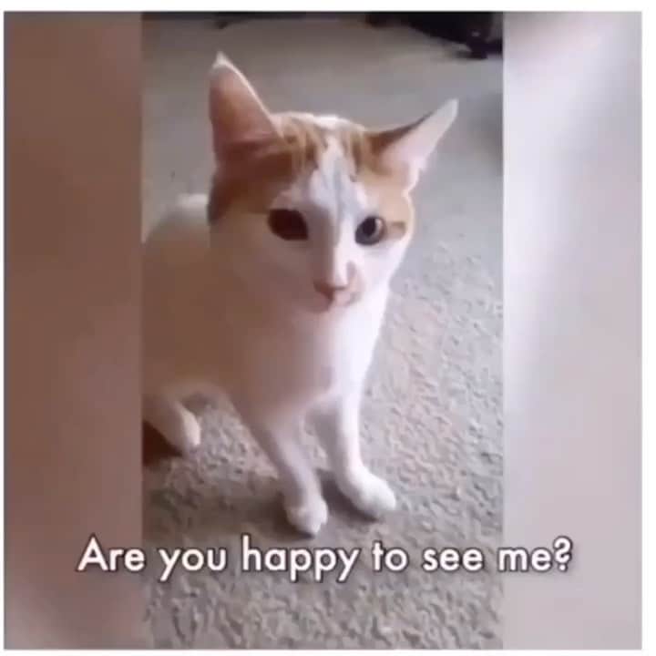 カロリーヌ・ド・メグレのインスタグラム：「End of the year feeling 😬」