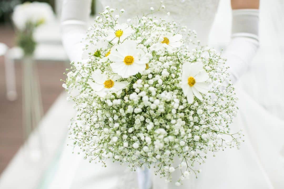 指帆亭のグルメインスタ