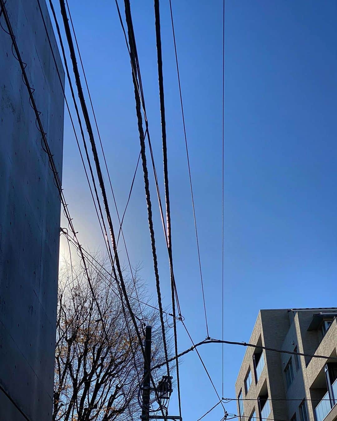 宍戸開さんのインスタグラム写真 - (宍戸開Instagram)「#streetphotography #storyofthestreet #streetoftokyo #streetcinematography #kaishishido #iphone11pro #photography #photographer #photooftheday」12月17日 20時20分 - kaishishido