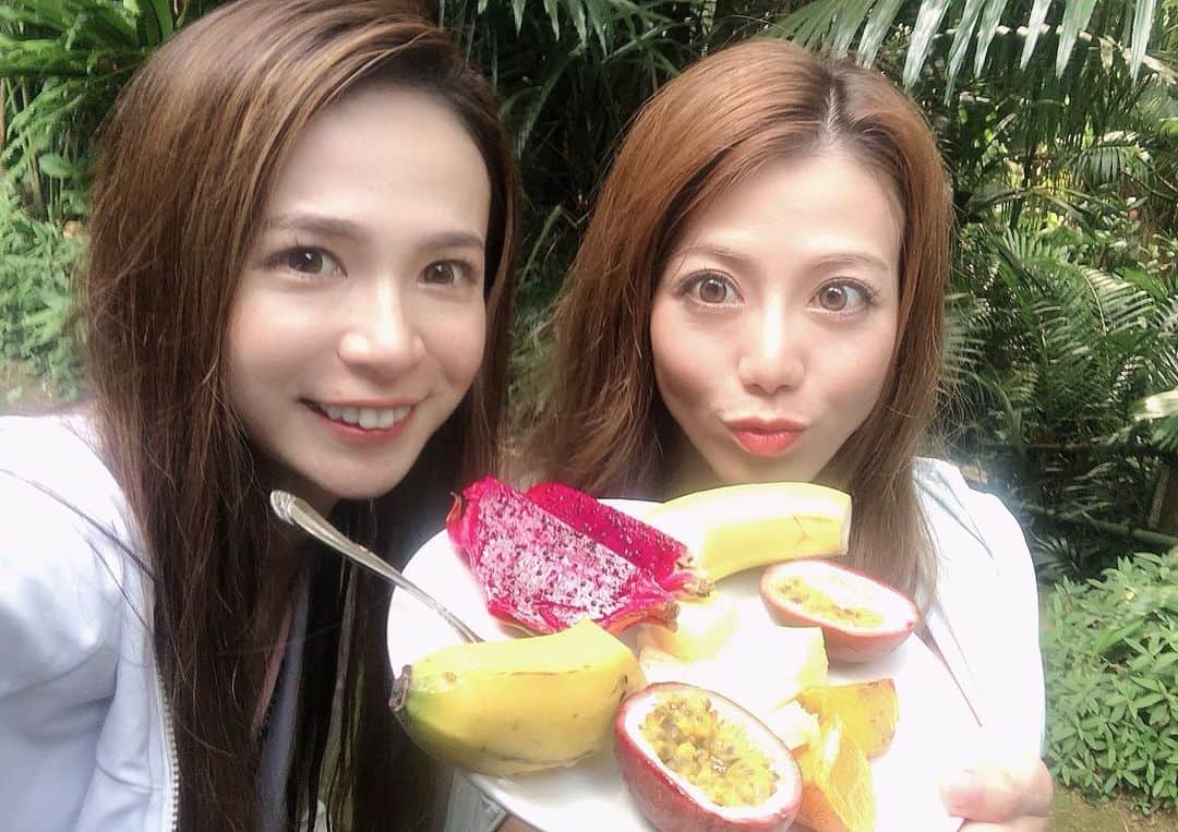 YUCAMAMEさんのインスタグラム写真 - (YUCAMAMEInstagram)「屋久島フルーツガーデン🥭  ニコちゃんみたいな木が可愛い😊  #屋久島フルーツガーデン   #屋久島 #屋久島旅行 #縄文杉 #トレッキング #トレッキング女子 #頑張った #世界遺産 #旅行 #旅行好きな人と繋がりたい #tabi_jyo #tabijyomap_yakushima #travelgram #traveler #yakushima #goproのある生活 #goprojp #goprotraveljapan #gopro女子 #jtbで旅したい #jalan_travel #japan」12月17日 20時36分 - yucamame