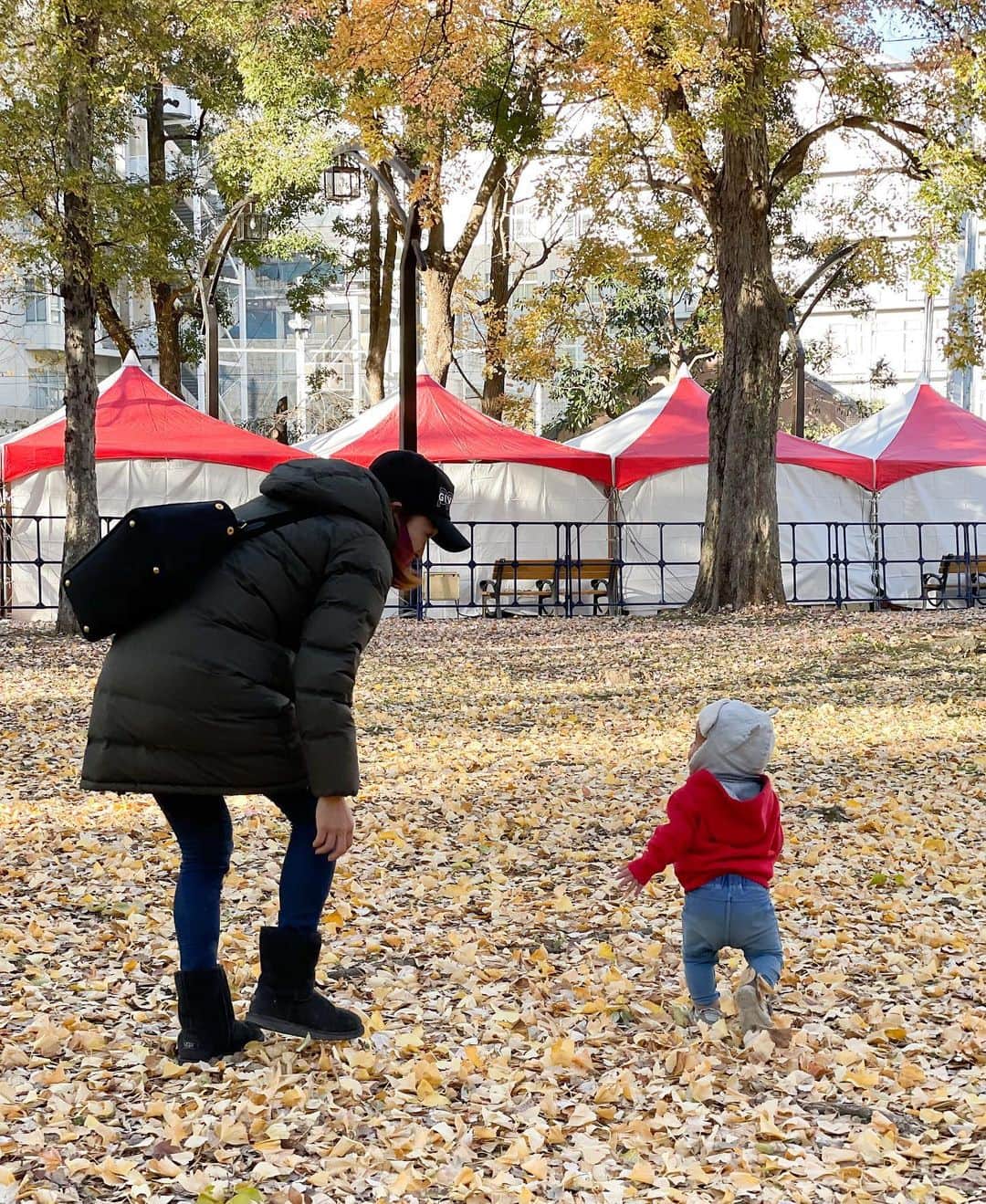 清澤恵美子さんのインスタグラム写真 - (清澤恵美子Instagram)「クリスマスマーケットに歩いて行ってみたけどそれよりもイチョウの枯葉の絨毯の方が彼は好きだったみたい🍁僕ちゃんとってもちっちゃいね😄」12月17日 20時53分 - kiyosawaemiko