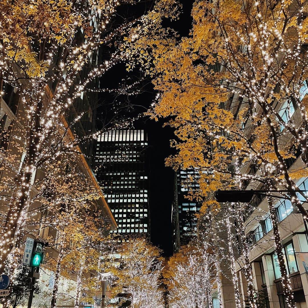 izu（出岡美咲）さんのインスタグラム写真 - (izu（出岡美咲）Instagram)「12月 東京の街は あまりに美しくって それは十分すぎるほど わたしの'走る"理由になる。  大人こそ '美しい"と思えるものには いつだって能動的に 自分から触れにいくべきで。  五感で触れに行った美しさは 自分のものになる。  視界から入るもの 触れてみるもの 鼻を掠めていくもの 耳を通っていくもの  ぜんぶ　ぜんぶ。  #izugoto #illumination #running #言葉の力 #言葉 #イルミネーションラン #イルミネーション #ランニング女子 #ランニングウェア #applewatch #applewatchseries6 #アップルウォッチ #iphone12」12月17日 20時51分 - izu_stagram