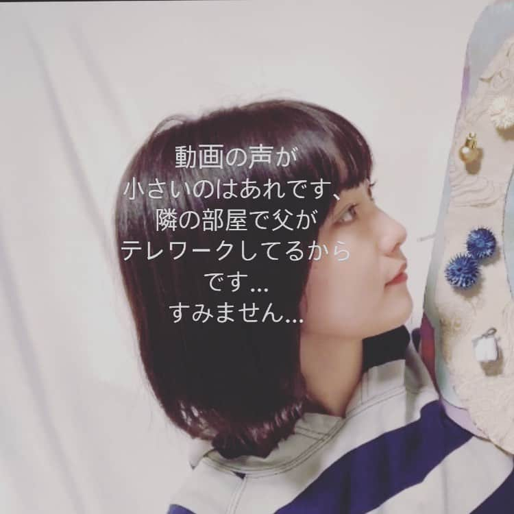 中嶋春陽さんのインスタグラム写真 - (中嶋春陽Instagram)「というわけなのよ、みてね！  🗣みたよ！(ありがとう)」12月17日 20時53分 - hal_ru