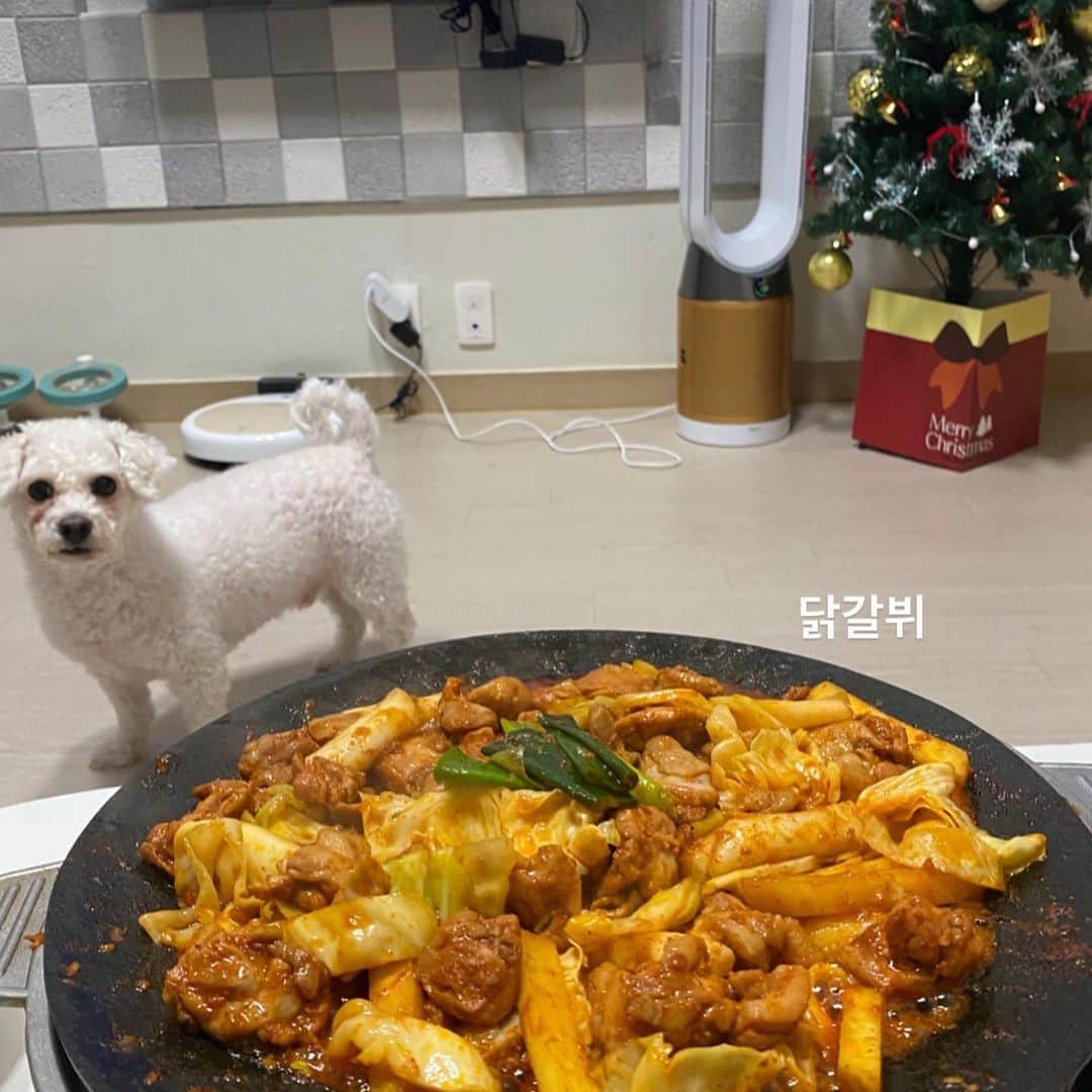ユン・ダヨンのインスタグラム：「오늘 저는 닭갈비를 해먹었슴달.. 갈비는 양배추 챱챱  #광고 #명동1번지닭갈비 #닭갈비 #홈파티#홈캠핑」