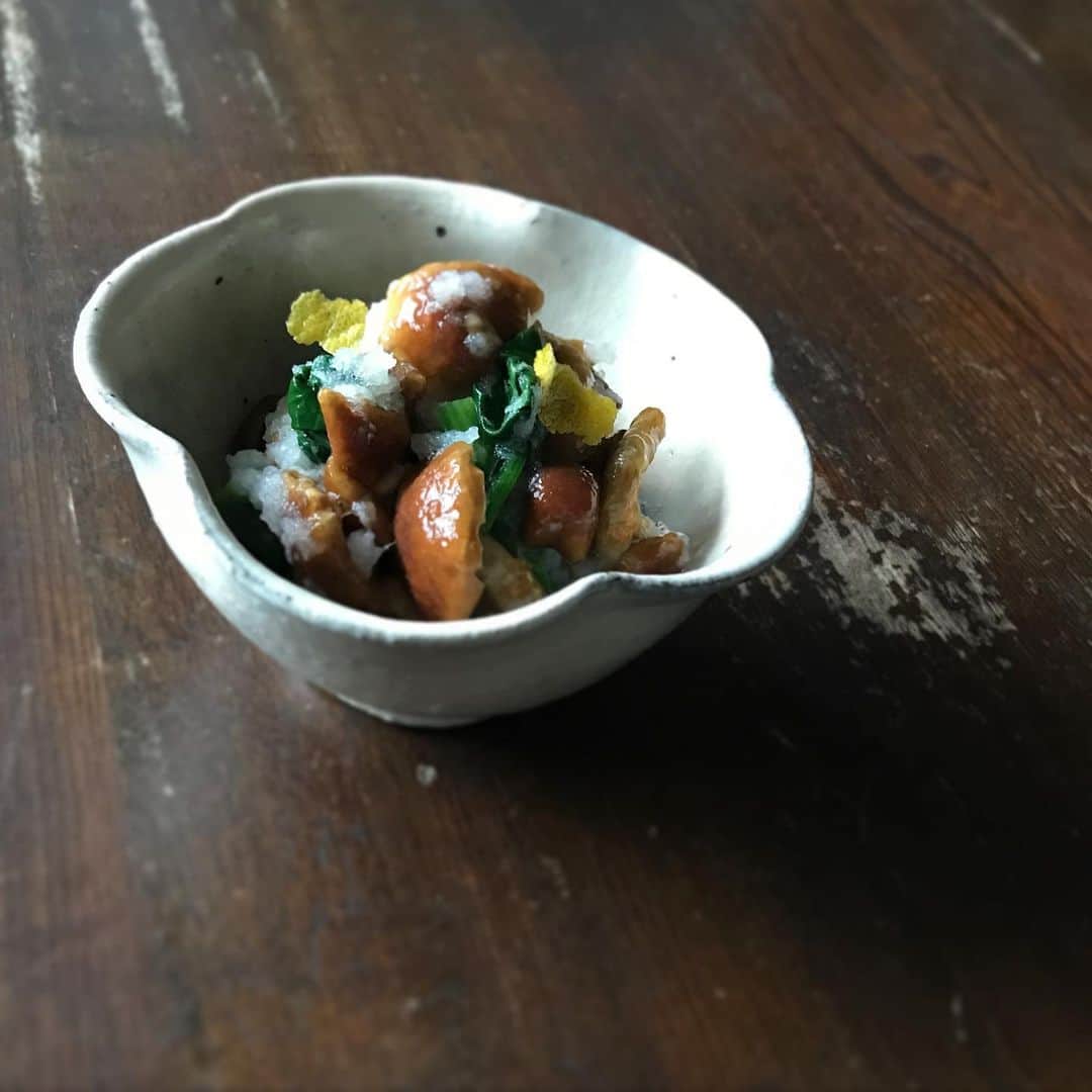 kanaのインスタグラム：「お野菜便  ビオファーム美土里の #大根 #ホウレン草 は  @brevicaule しーちゃんに お願いした #白州山の水農場 さん 旬のそれは素晴らしい 立派な #なめこ と一緒に  しーちゃんの #柚子こしょう を 効かせた下ろし和えに  この素晴らしく美味しい  なめこは鍋に味噌汁にと あっという間に消えてしまった  美土里さんの甘味の強い ホウレン草と大根  大好きな山梨の 沁み渡る美味しさでした  #ビオファーム美土里 #お野菜便 #ブレヴィカウレ #柚子こしょう #白州山の水農場 #なめこ #小山乃文彦」