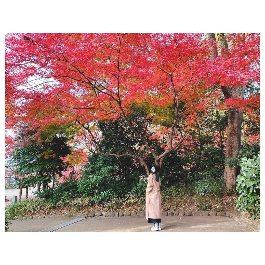 大塚愛さんのインスタグラム写真 - (大塚愛Instagram)「朱にお惚れる  AIO　#紅葉 #赤 #紅 #朱」12月17日 21時26分 - aiotsuka_official