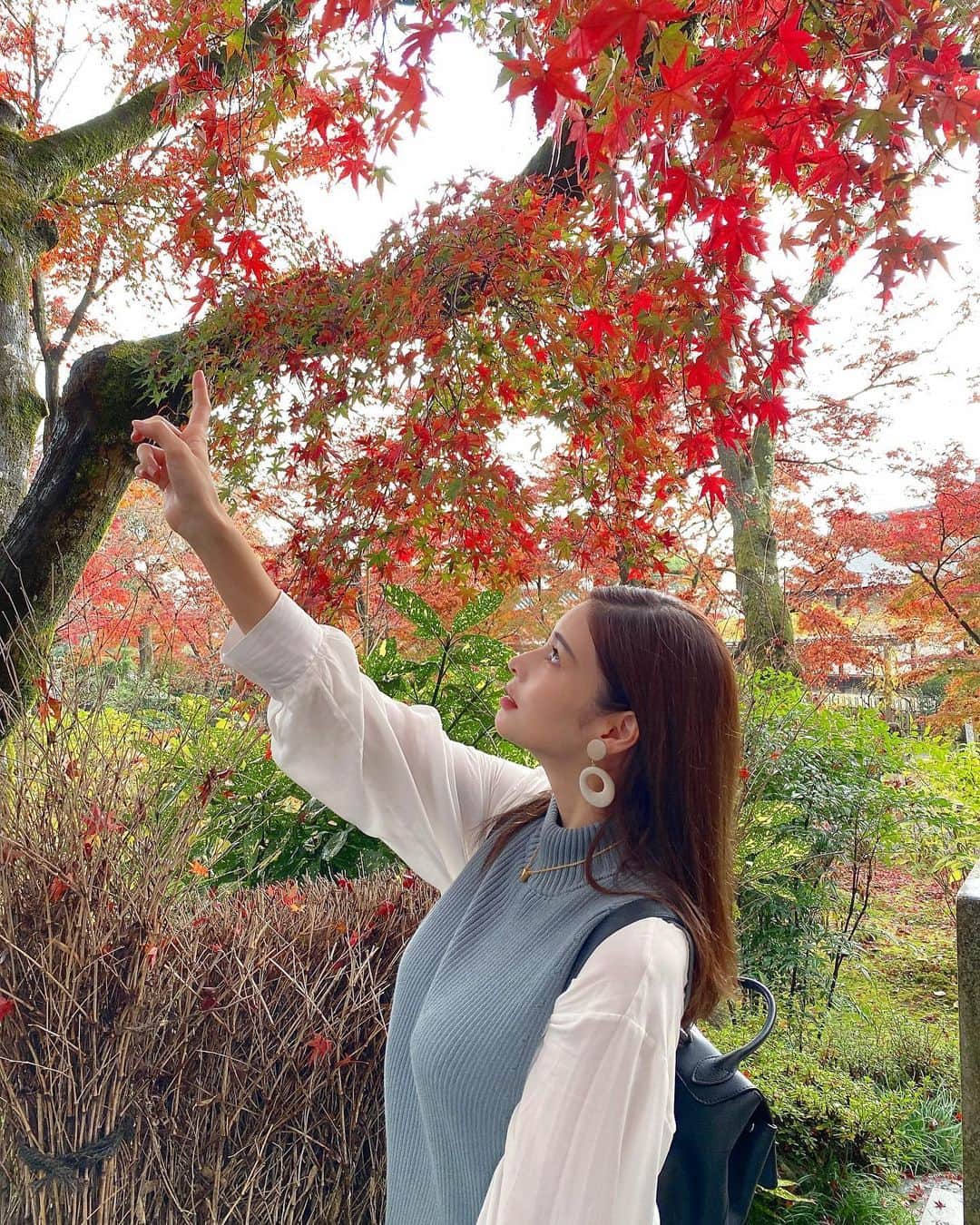 のインスタグラム：「葉っぱにナメクジがいて みつけて険しい顔になりました。 失礼しました😂🍁 ・ ・ ・ ・ ・ ・ ・ ・ ・ ・ ・ ・ #天龍寺#天龍寺庭園#京都#京都紅葉#京都観光#京都グルメ#京都カフェ#京都旅行#紅葉#紅葉狩り#観光#女子旅#タビジョ#国内旅行#秋コーデ#秋#ニット#インスタ映え#カメラ女子#オトナ女子#嵐山#綺麗な景色#kyoto#kyotojapan#kyototrip#autumnleaves#kyototravel#japantravel#japanesegirl#arashiyama」
