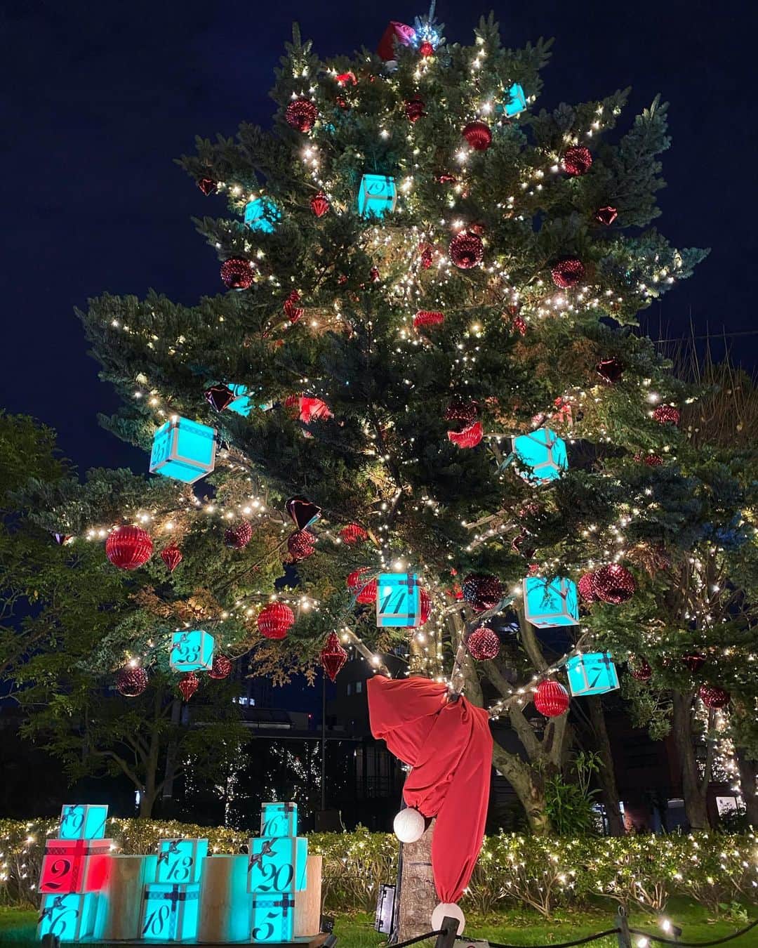 松岡李那さんのインスタグラム写真 - (松岡李那Instagram)「Where is my Santa?🎄❄️🎅❤️ • • • 🧥❤️: #DAYBREAK  @dbkjpofficial  • • • #ilumination  #xmastree #christmas  #merrychristmas  #christmastree  #lightup  #midtown」12月17日 21時48分 - linahxoxo