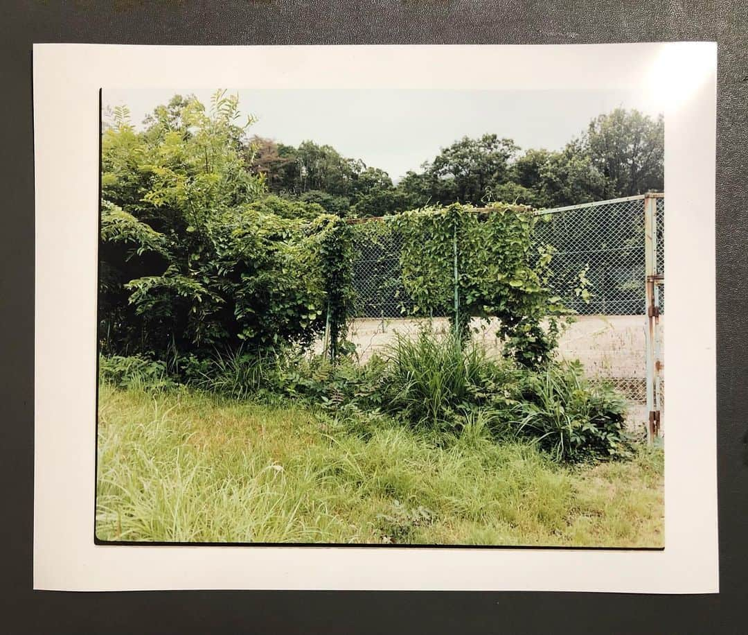 柏田テツヲのインスタグラム：「Print  #film #filmphotography  #landscapephotography  #cprint  #darkroom」