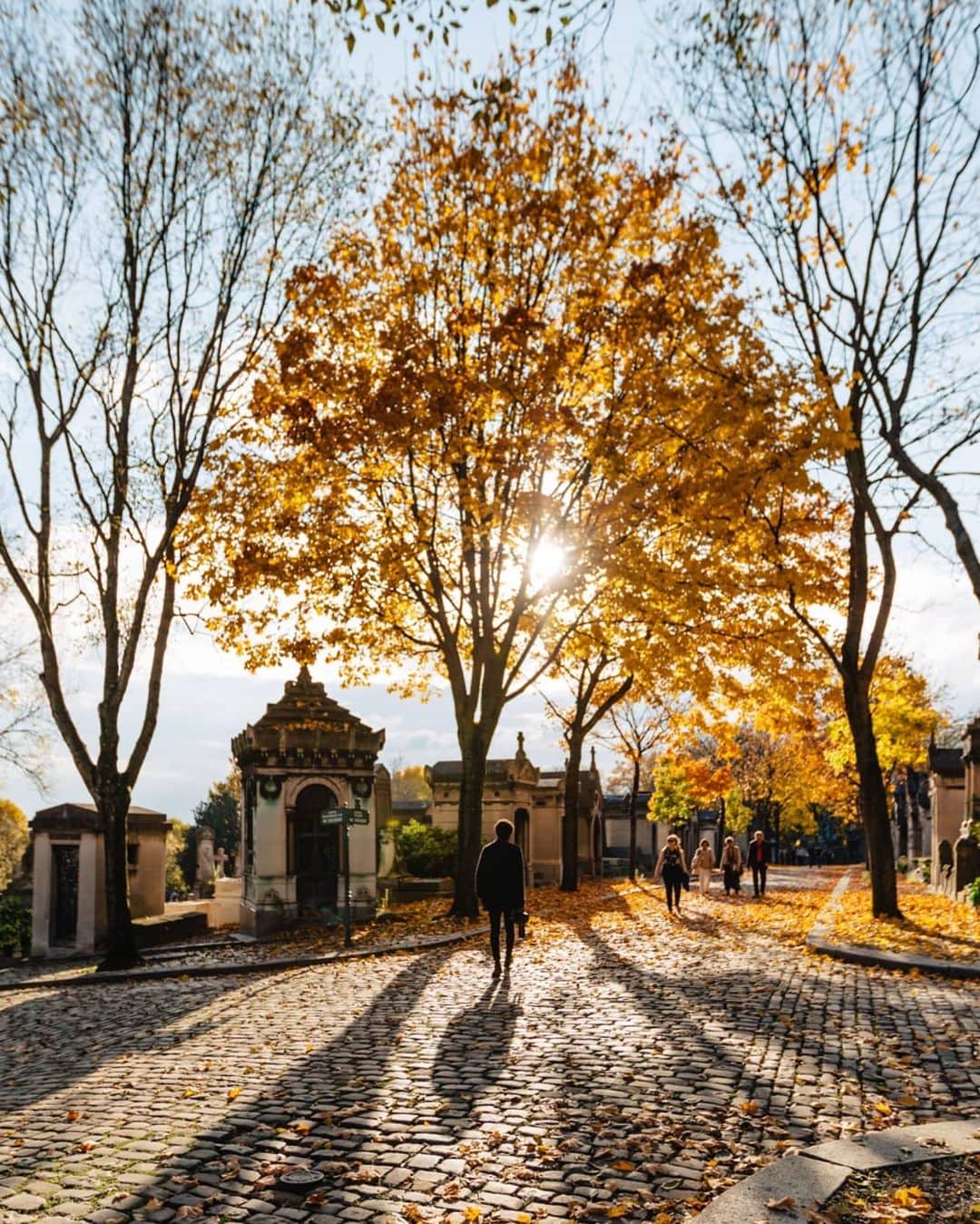 VuTheara Khamさんのインスタグラム写真 - (VuTheara KhamInstagram)「Autumn Series in Paris 🍁  It's serie of pictures of fall taken last years before Covid-19. 1) Eiffel Tower 2) Parc Monceau 3) Notre-Dame de Paris 4) Bouquinistes along the banks of the Seine 5) Tuileries Garden 6) Pere Lachaise Cemetery 7) Montmartre 8) 9) 10) Banks of the Seine」12月17日 23時42分 - vutheara