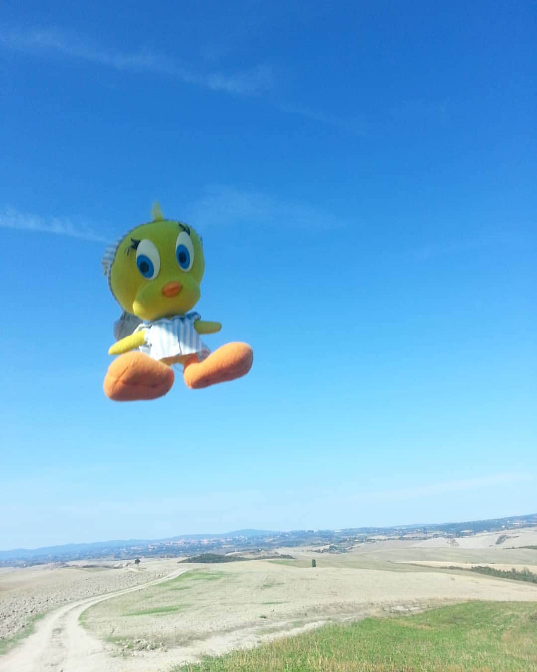 Little Yellow Birdのインスタグラム