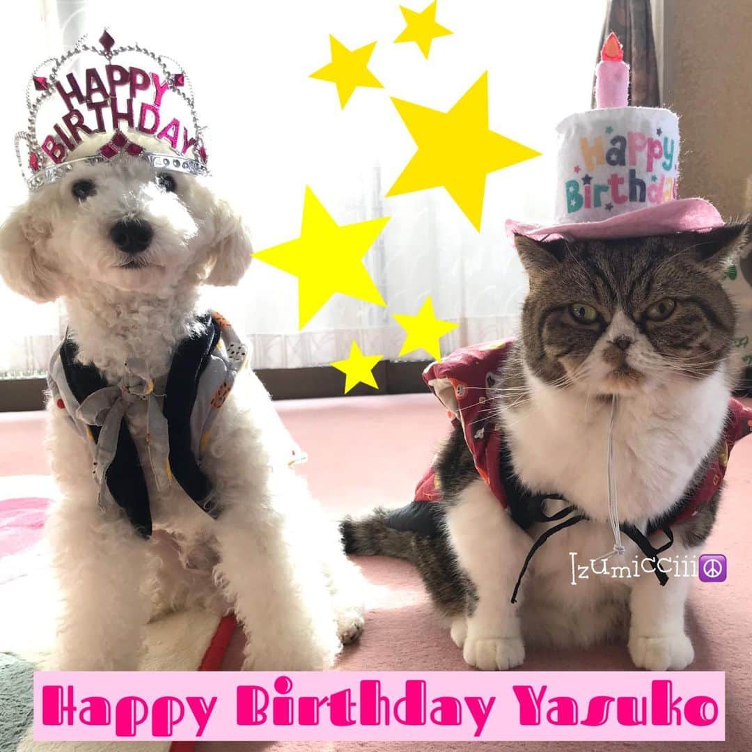 Izumi Kanno??のインスタグラム：「☮️ ㊗️やっちゃんお誕生日おめでとう〜🎉🎁🎂 * Happy Birthday Yasuko!! 🎉🎉🎉Hope you have a wonderful day 🎁🎂🍾😆 ＊ ＊ ＊」