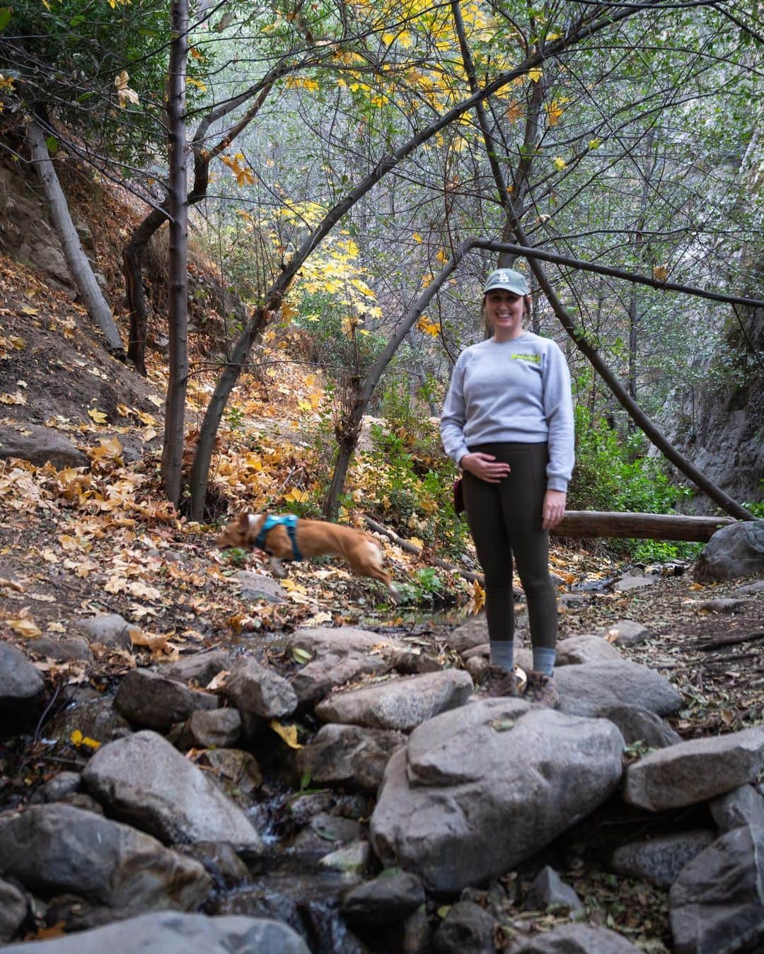 Karan B.さんのインスタグラム写真 - (Karan B.Instagram)「We’ve been hitting the hiking trails as much as possible lately, but @shannonbhatia won’t let me post photos of her. Now that she’s OK telling everyone we’re having a baby, I’m finally allowed to post photos of her again! To celebrate, here’s a bunch of photos of Shannon and our dog from some hike last weekend!   Oh, and I guess we’re going to be parents.」12月18日 9時54分 - sendingstache