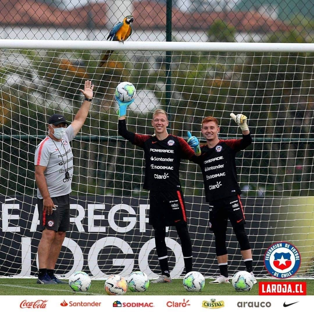 サッカーチリ代表チームさんのインスタグラム写真 - (サッカーチリ代表チームInstagram)「🇨🇱😍En un esfuerzo técnico y humano, nuestro amigo nos visitó nuevamente en la última práctica de #LaRojaSub20, en la previa del partido ante Brasil.   Ah! Y no vino solo... 🦜🦜  Las fotos, como siempre, del crack @parrazagal  Comunicaciones ANFP  #Chile #LaRoja #VamosLaRoja #VamosChile」12月18日 10時15分 - laroja