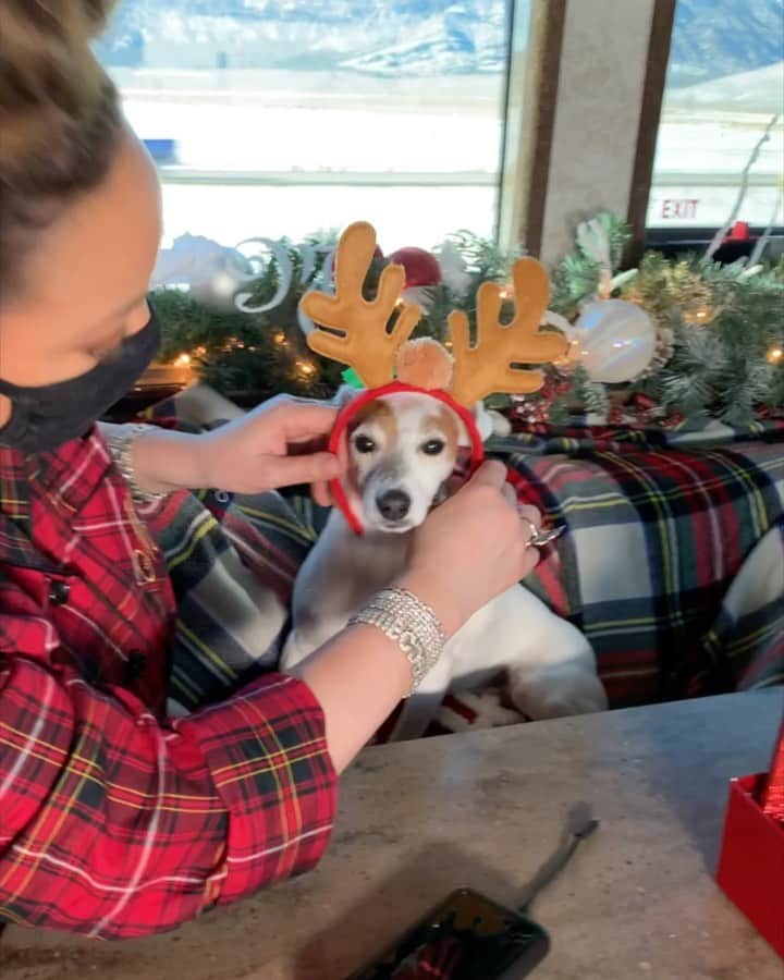 マライア・キャリーのインスタグラム：「Our merry little road trip with @outdoorsy #GetFestive 🎄🎉❤️」