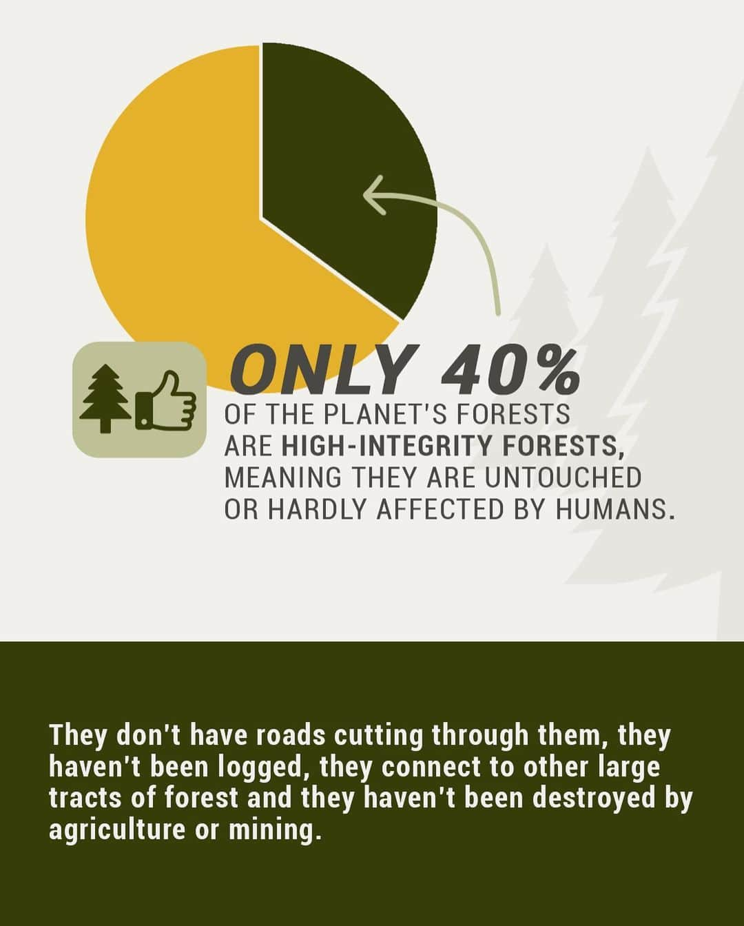 レオナルド・ディカプリオさんのインスタグラム写真 - (レオナルド・ディカプリオInstagram)「Forests with high integrity play a critical role in slowing climate change, preserving biodiversity, protecting Indigenous Peoples, and avoiding future pandemics.⁠⠀  A new index from @thewcs, @global_wildlife_conservation and partners shows that only 40% of forests have high integrity. #forests4life ⁠⠀」12月18日 1時58分 - leonardodicaprio