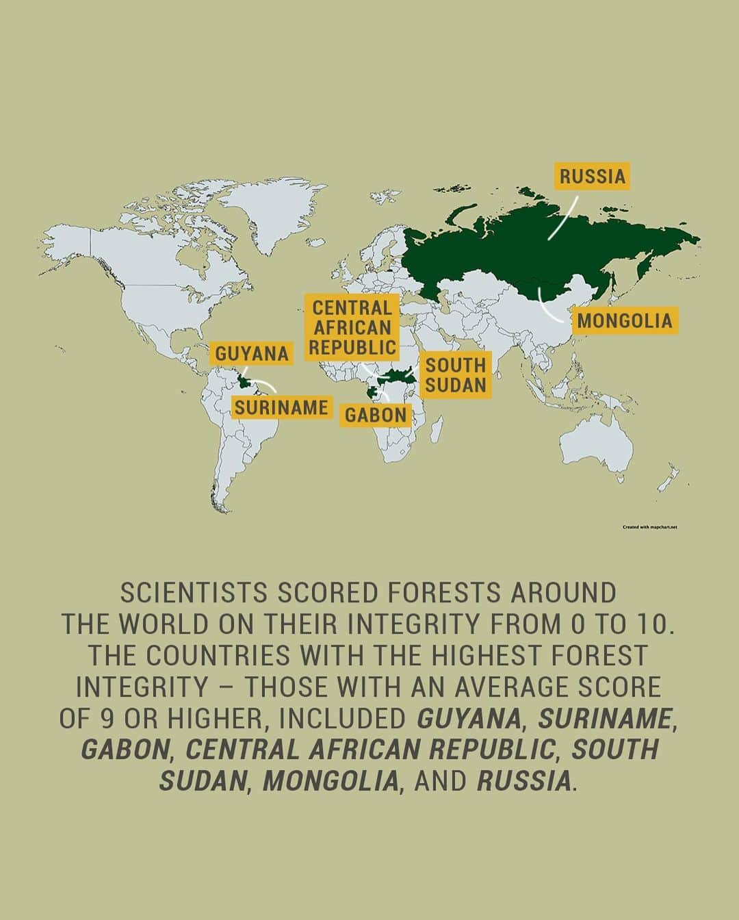 レオナルド・ディカプリオさんのインスタグラム写真 - (レオナルド・ディカプリオInstagram)「Forests with high integrity play a critical role in slowing climate change, preserving biodiversity, protecting Indigenous Peoples, and avoiding future pandemics.⁠⠀  A new index from @thewcs, @global_wildlife_conservation and partners shows that only 40% of forests have high integrity. #forests4life ⁠⠀」12月18日 1時58分 - leonardodicaprio