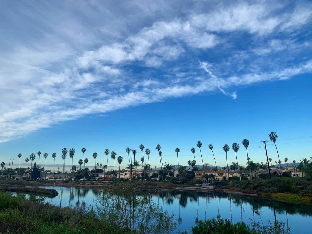 エミリー・スワローのインスタグラム：「Just another LA morning. 🌴 🌴 🌴  #cityofangels #palmtreesentinels #marinadelrey #venice #losangeles #morningrun」