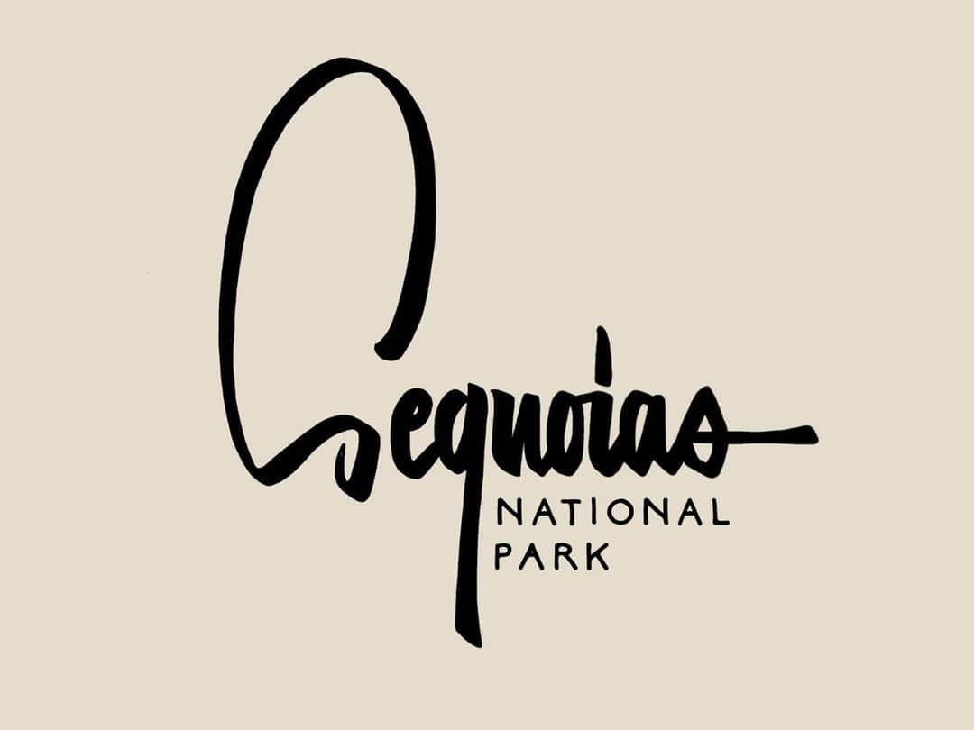 Dribbbleさんのインスタグラム写真 - (DribbbleInstagram)「Sequoias National Park by Francis Chouquet ⠀ ⠀ #dribbble #design #sequoias #nationalpark #nationalparks #handlettering #lettering」12月18日 3時30分 - dribbble