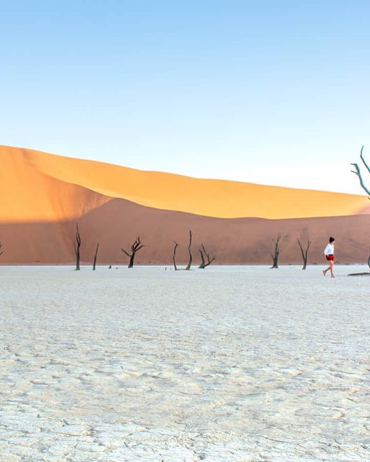 Lonely Planetのインスタグラム：「Namibia,one of Africa's most stunning destinations, is open.   Find out what it’s like to visit by clicking the link in our bio.」