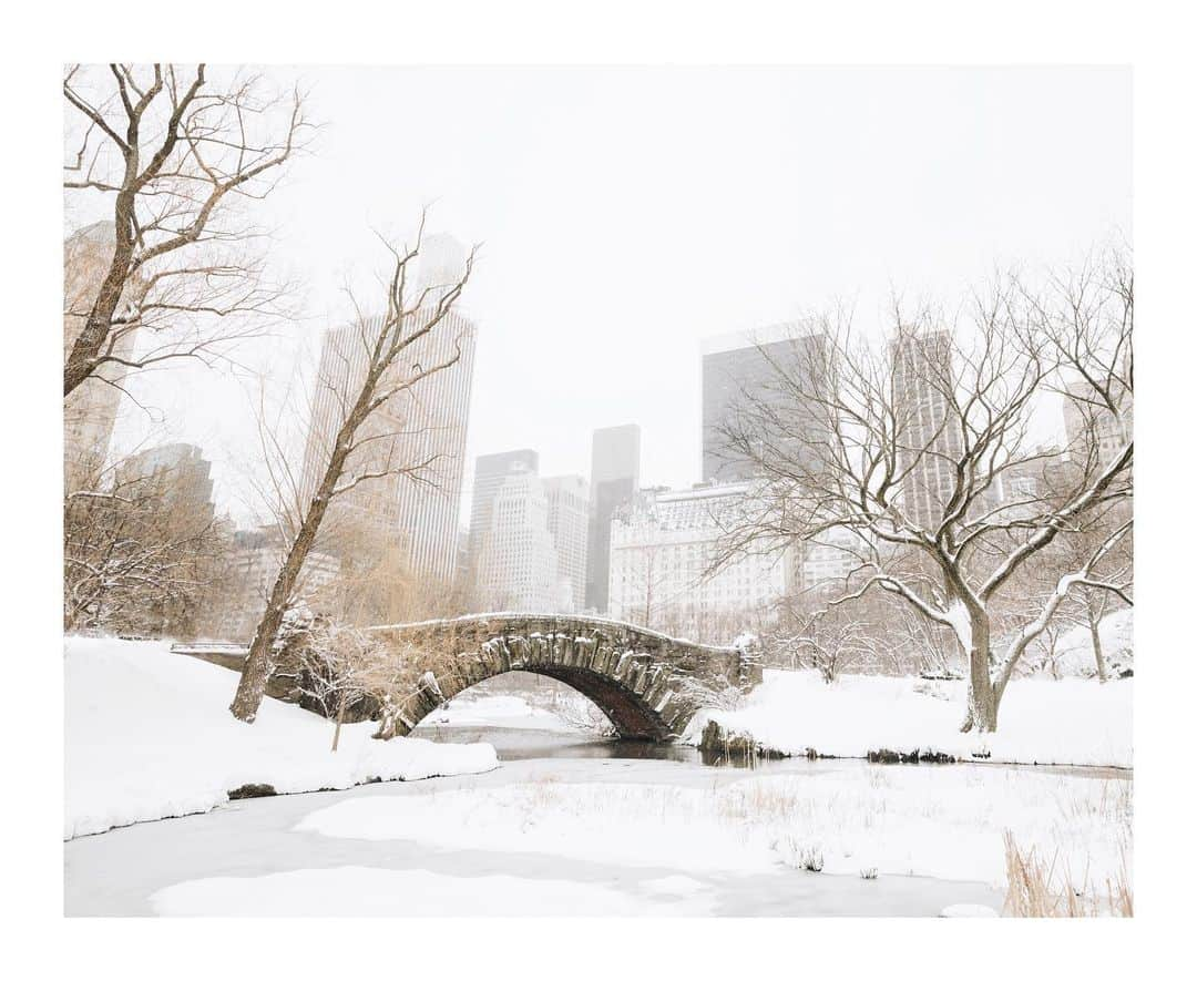 Cory Staudacherのインスタグラム：「NYC snow in Central Park ❄️」