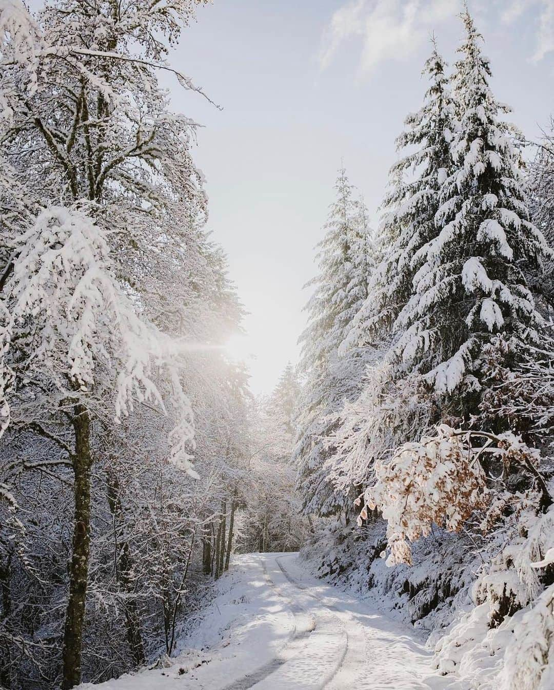 Instagramersさんのインスタグラム写真 - (InstagramersInstagram)「Just imagine see this snowing place by @birdcageliving and @igersportugal ⛄️❄️📸✨ #igersportugal #igers」12月18日 4時25分 - igers