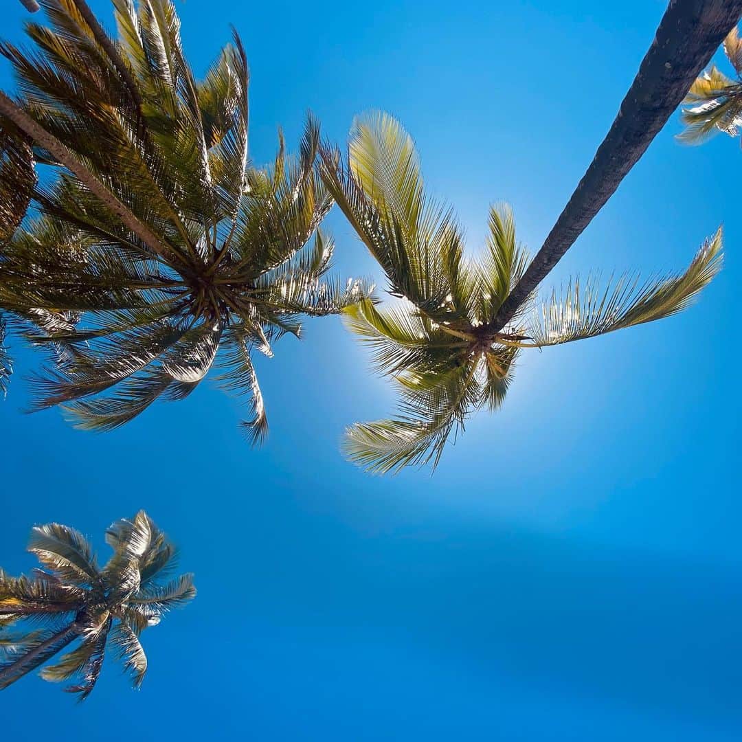 Yanna Lavigne 稲垣アンのインスタグラム：「#paz 🌴💚」