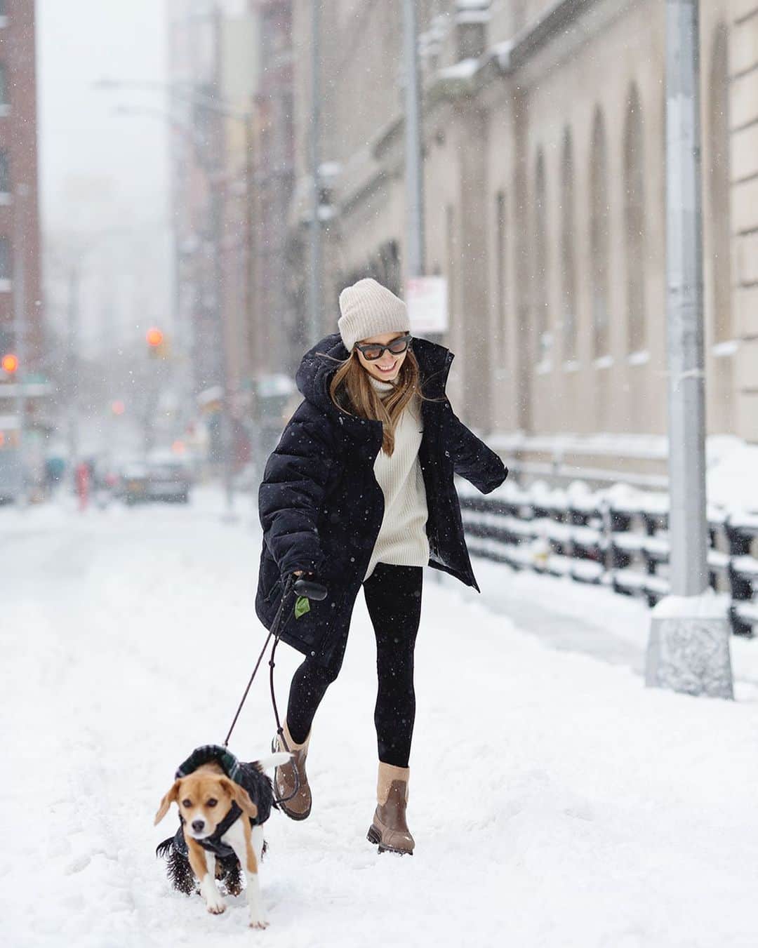 スコット・シューマンのインスタグラム：「Dog walking in the snow is always fun!」