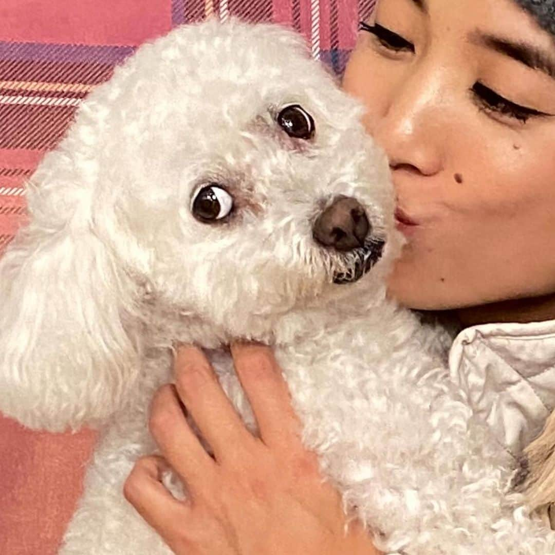 Ai Shimatsuさんのインスタグラム写真 - (Ai ShimatsuInstagram)「Some of my fav photos I got w/ my girl @coco_le_fluff for @abercrombie campaign. ✨🎁 I think she got great face expressions. Lol 🦴」12月18日 5時24分 - aishimatsu