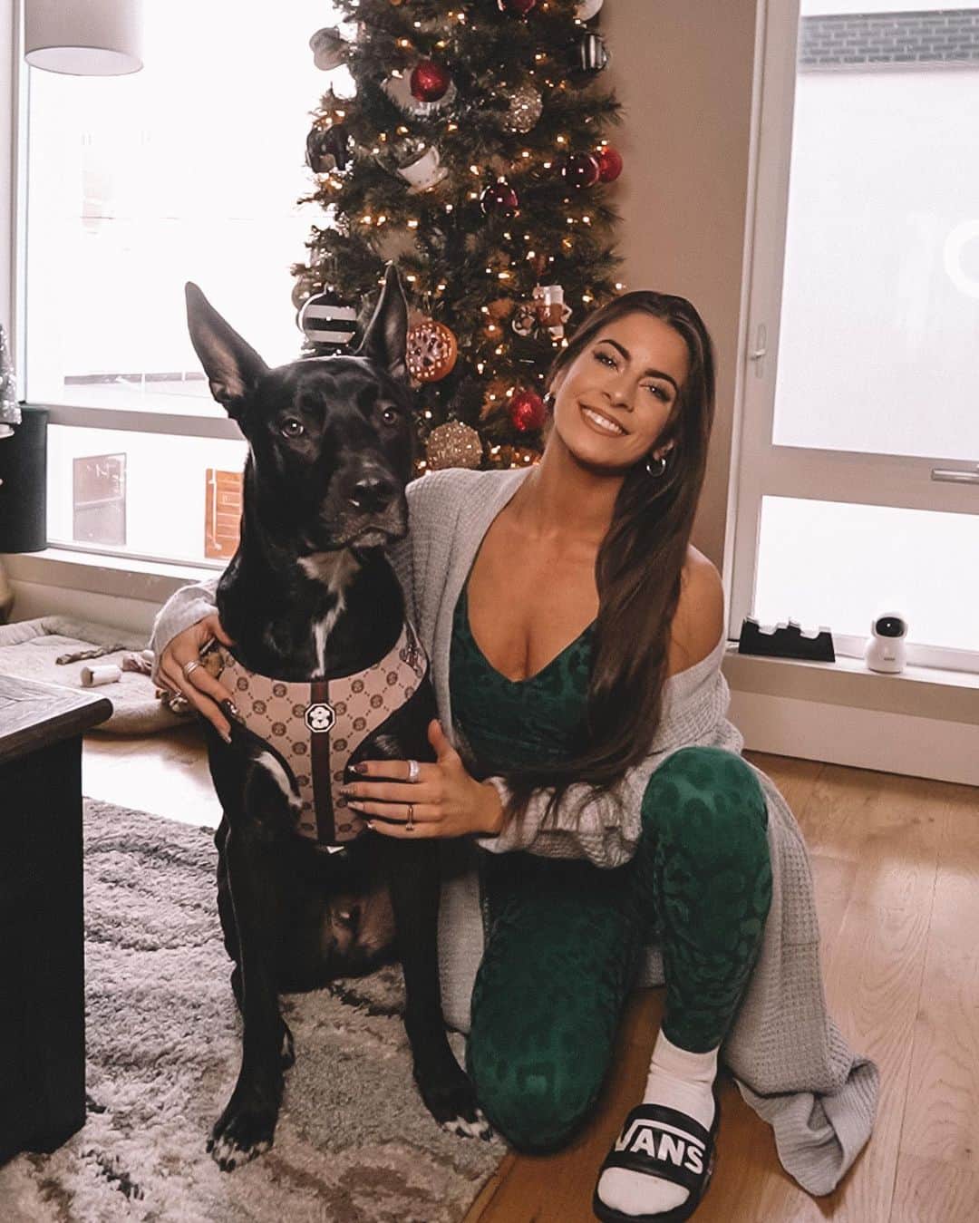 Paige Reillyのインスタグラム：「The amount of treats it took to get these pictures 😂😩 I put on the @balanceathletica panther forest set to try to match the green in his harness that you can barely even see hahaha but at least were both almost looking at the camera 🥲⁣ ⁣ So thankful for this crazy angel baby. My life would be so boring without you 🤍🙏🏻 There is nothing like the love for a pet and I am so blessed to experience it with this lil man 🐾」