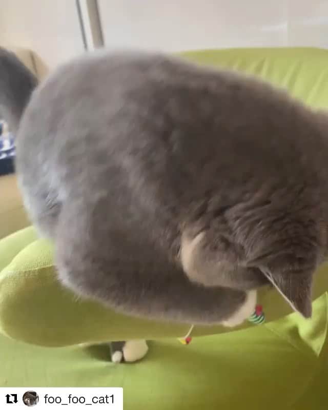 千吉良恵子のインスタグラム